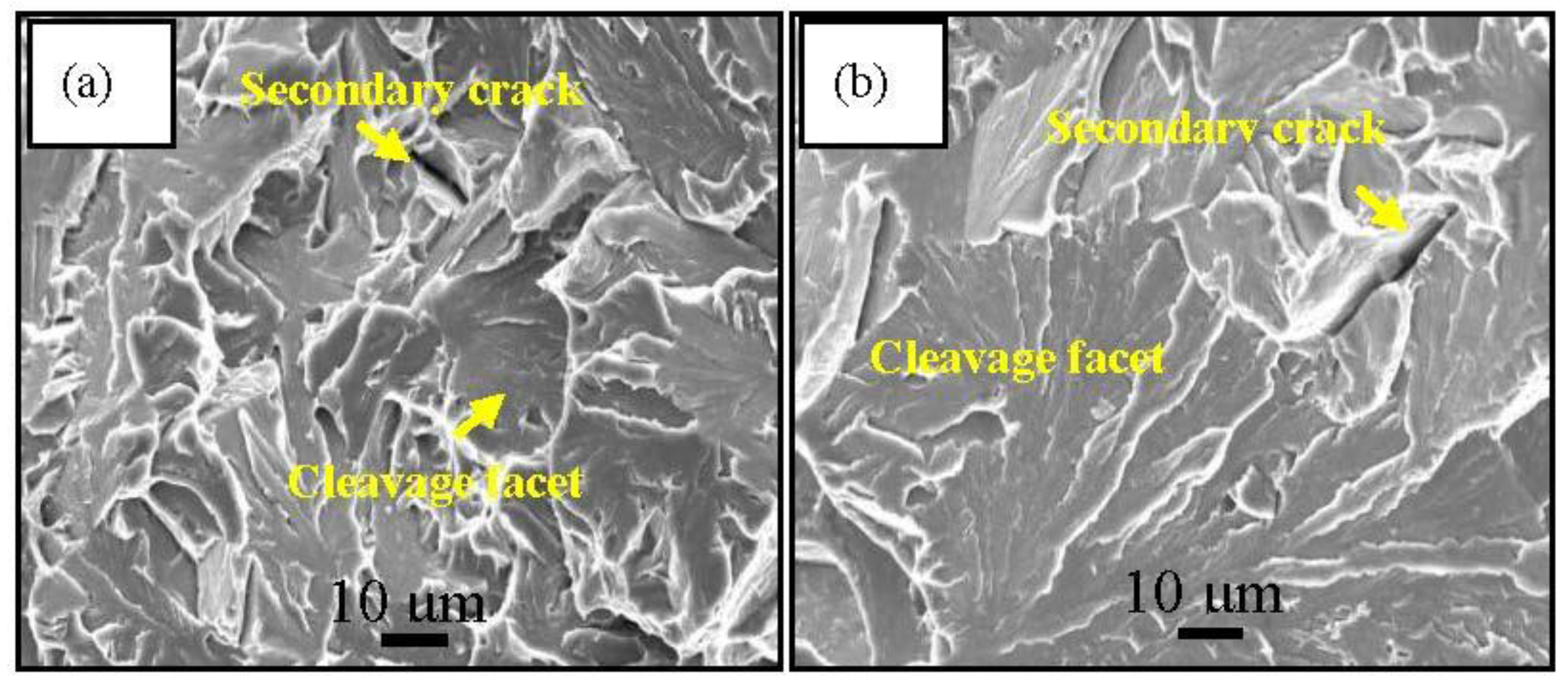Metals 06 00256 g009