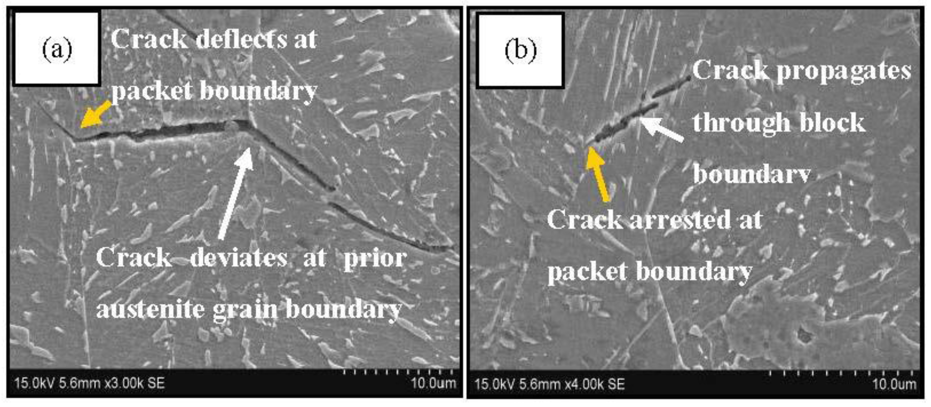 Metals 06 00256 g010