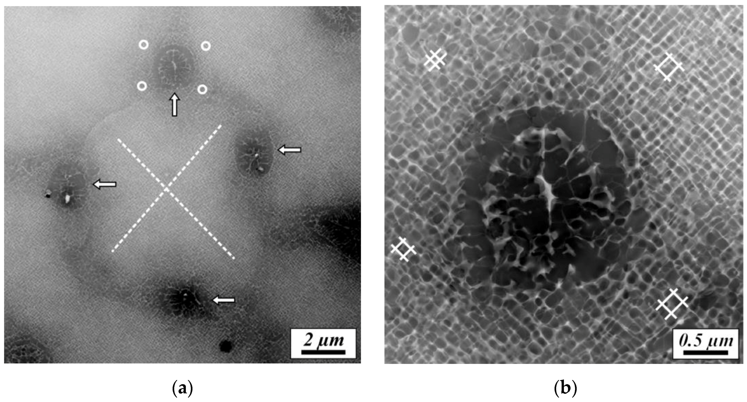 Metals 06 00258 g008