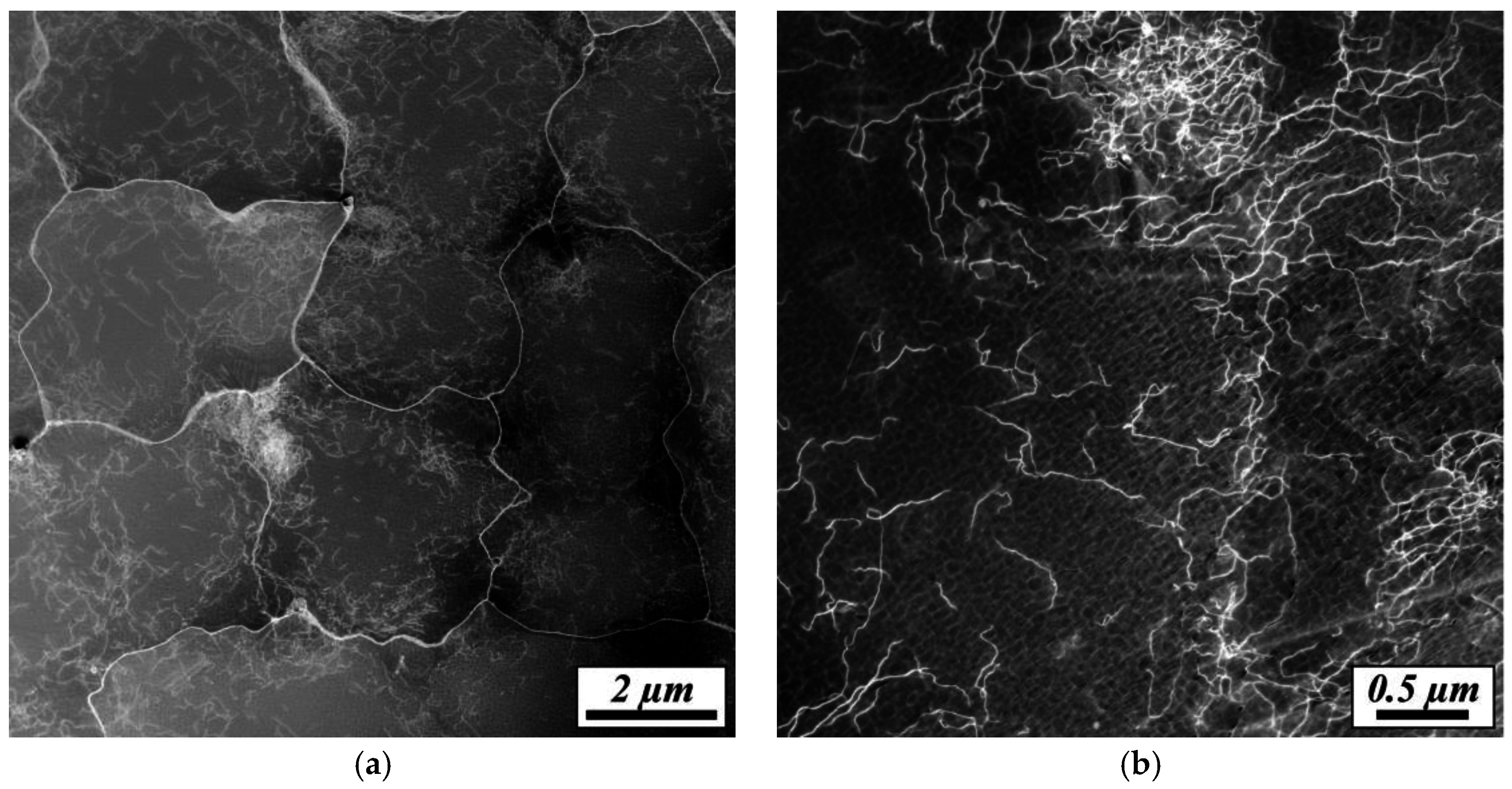 Metals 06 00258 g009