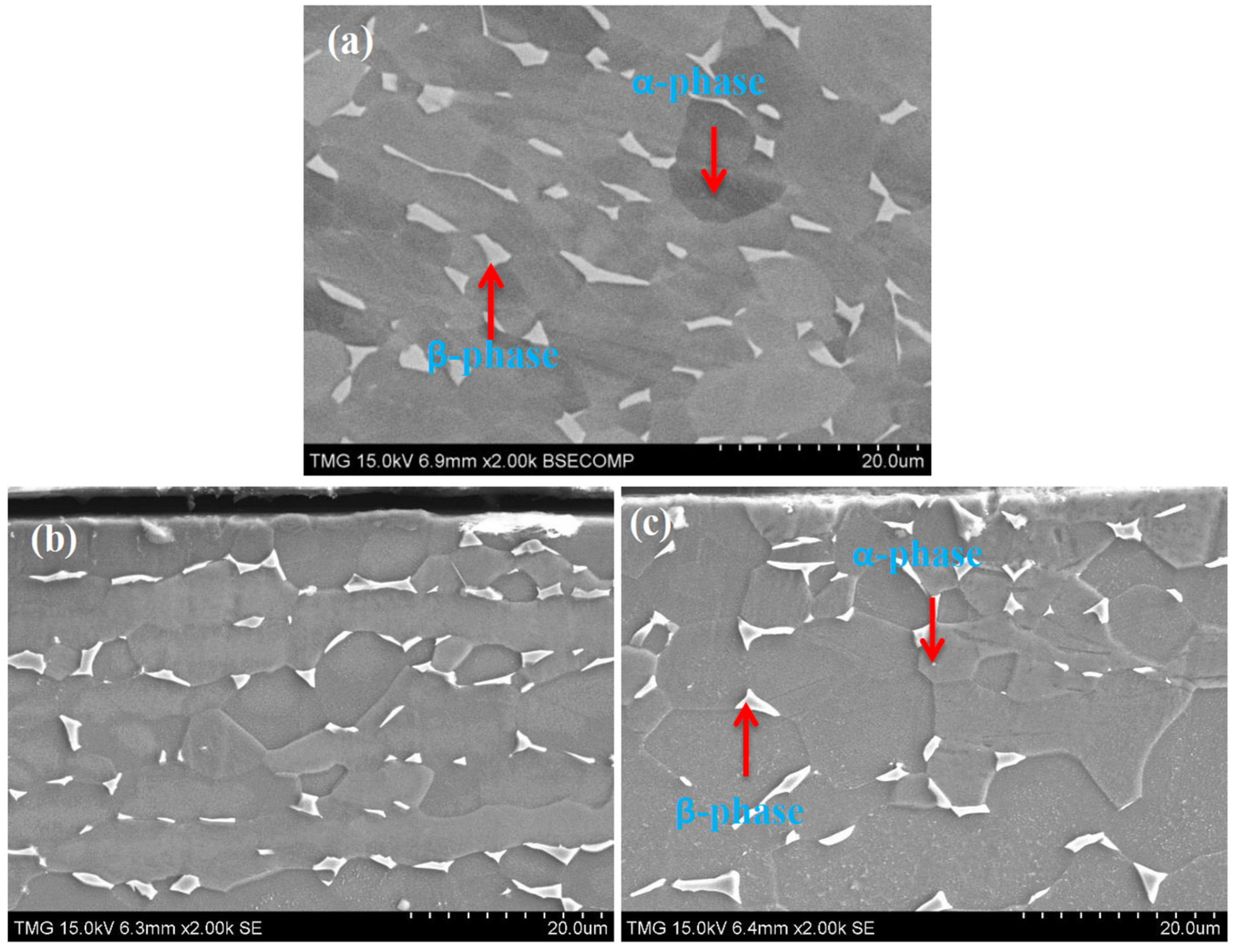 Metals 06 00262 g008