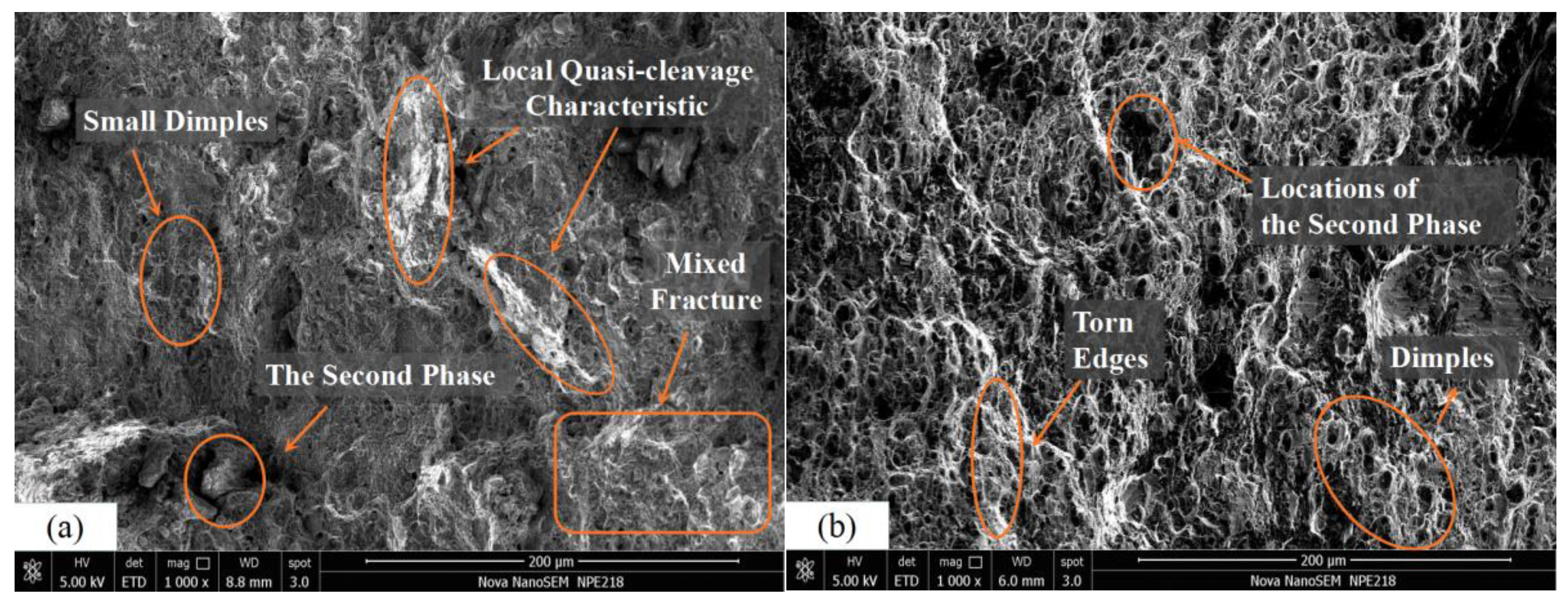 Metals 06 00279 g004a