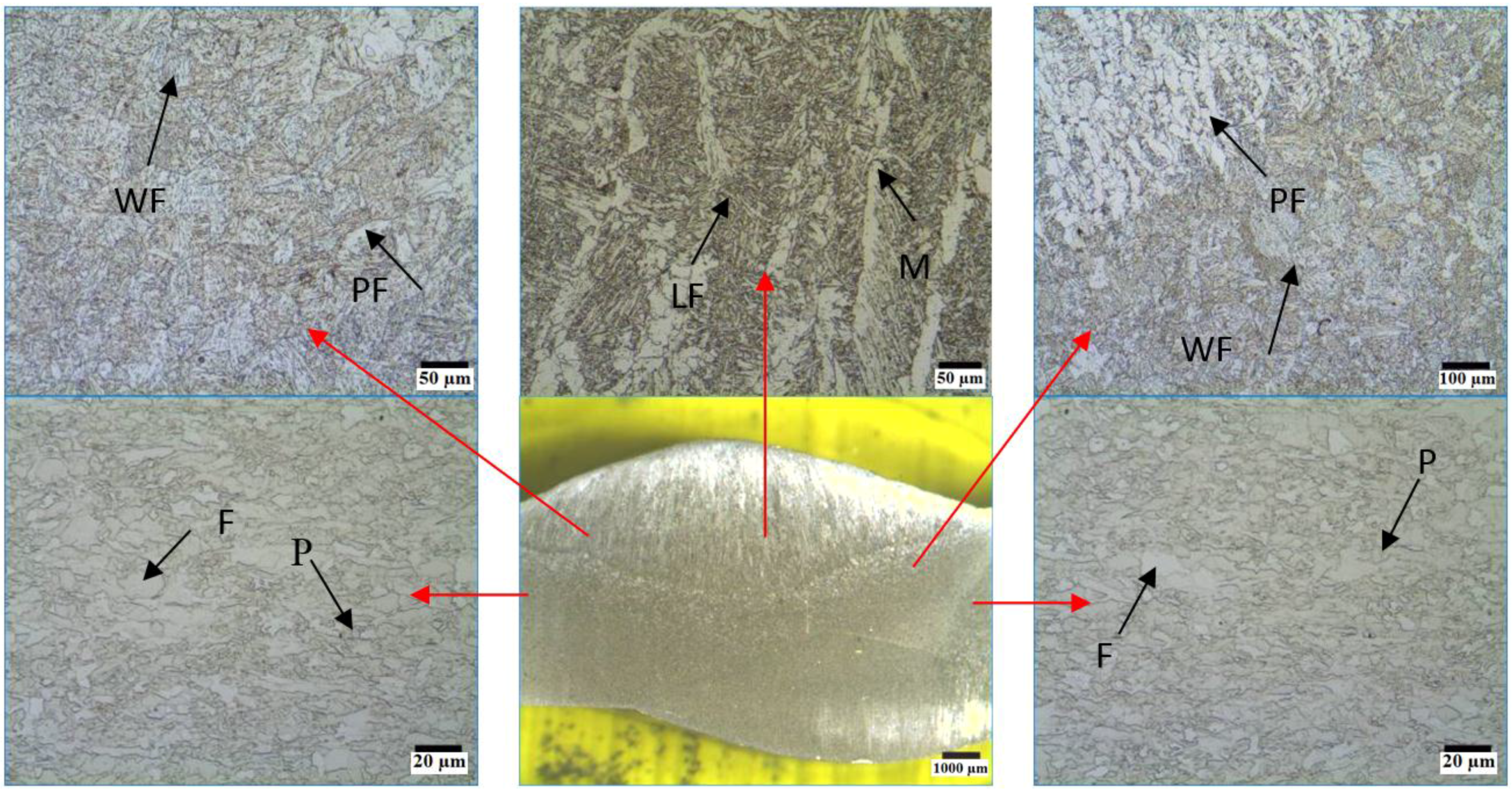 Metals 06 00281 g002