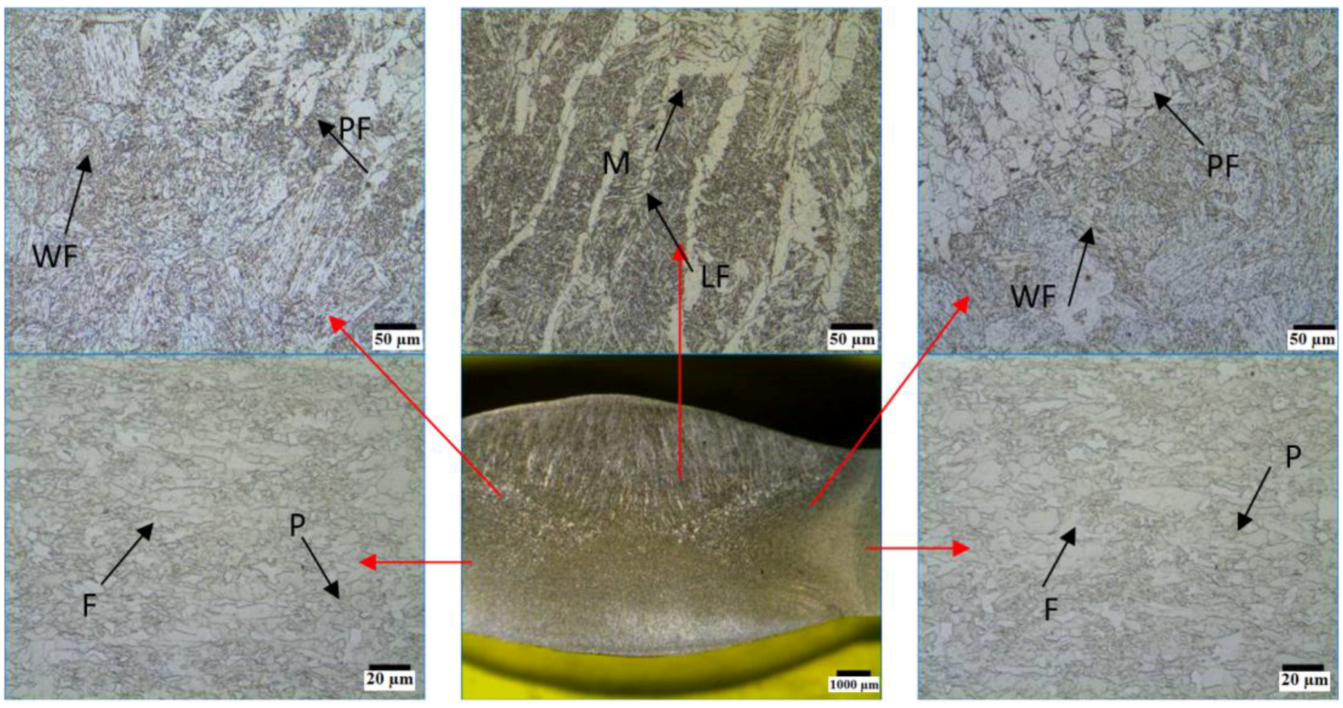 Metals 06 00281 g003