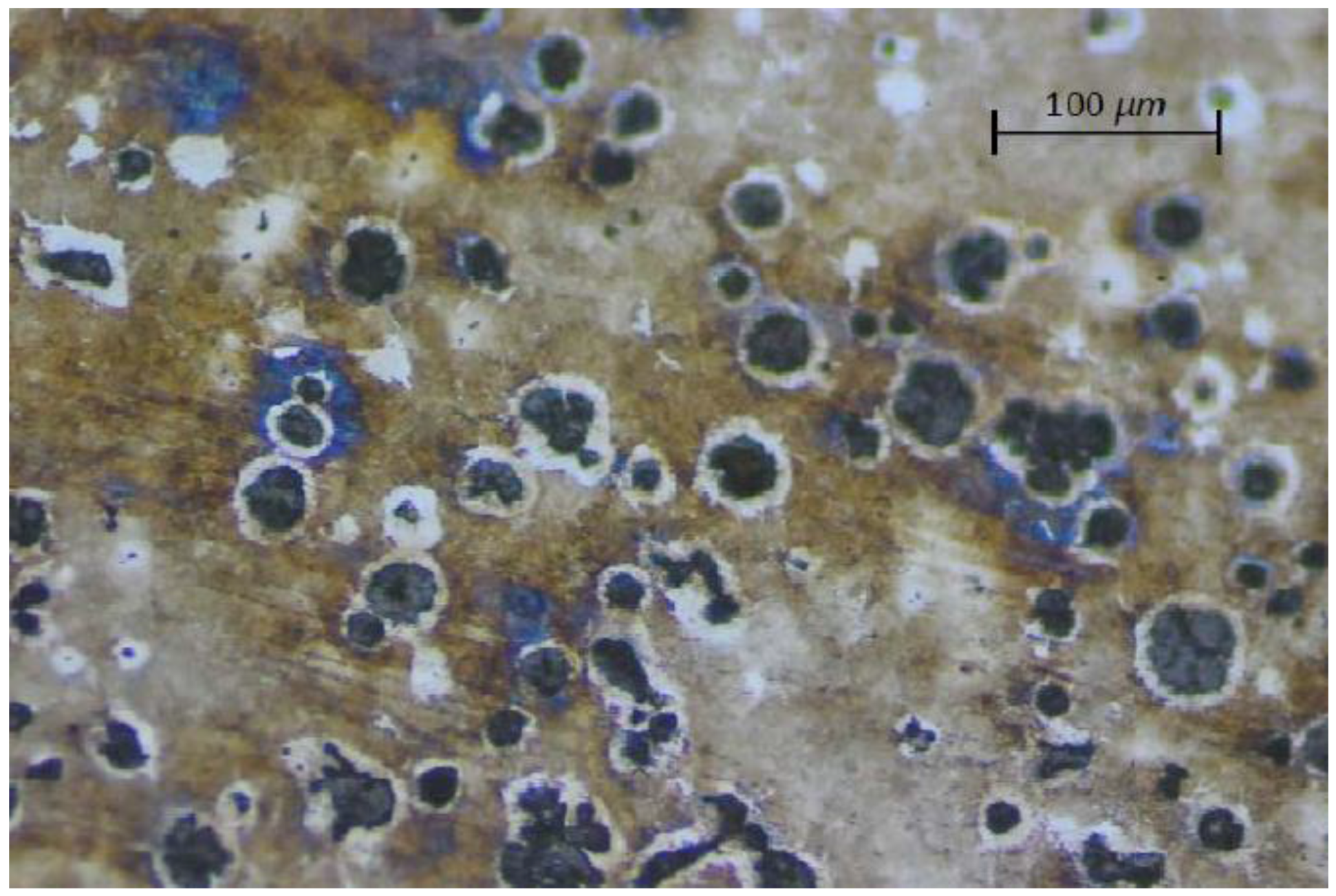 Metals 06 00283 g004