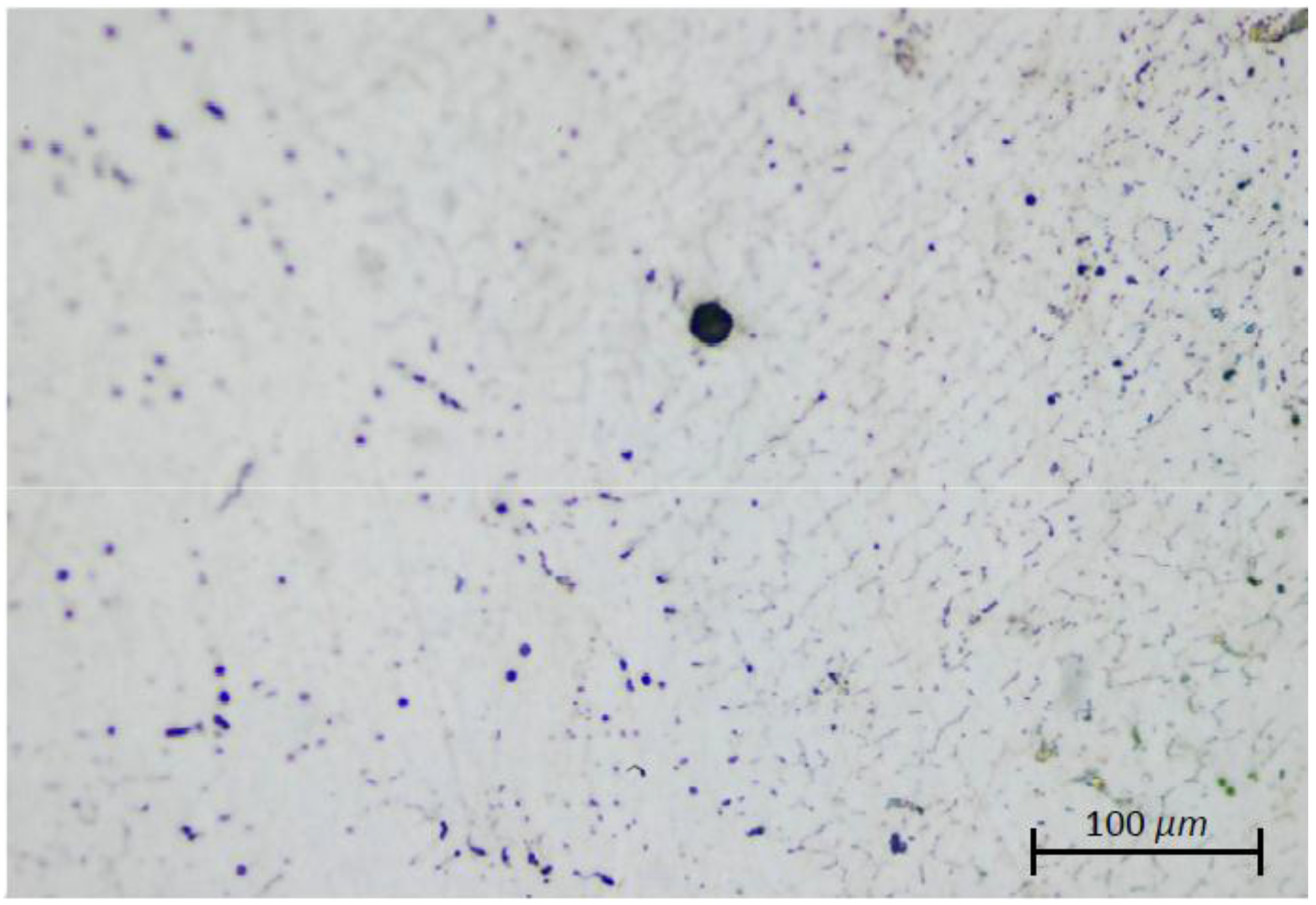 Metals 06 00283 g005