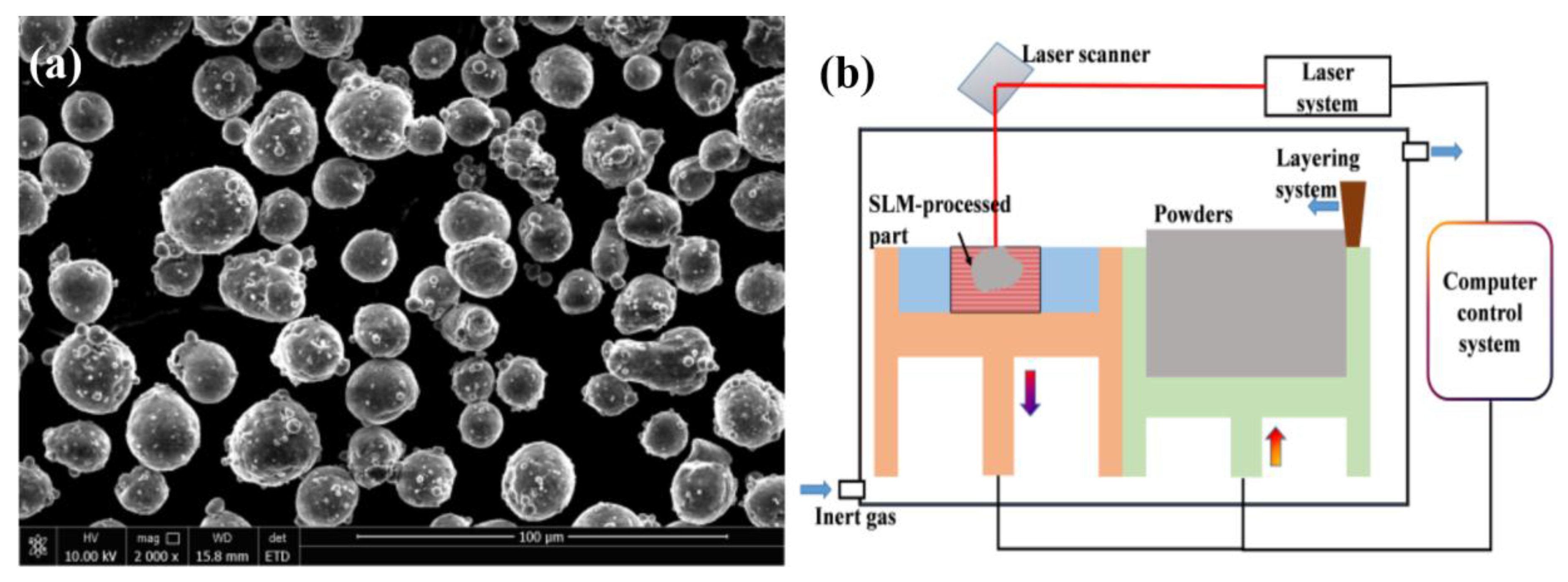 Metals 06 00286 g001