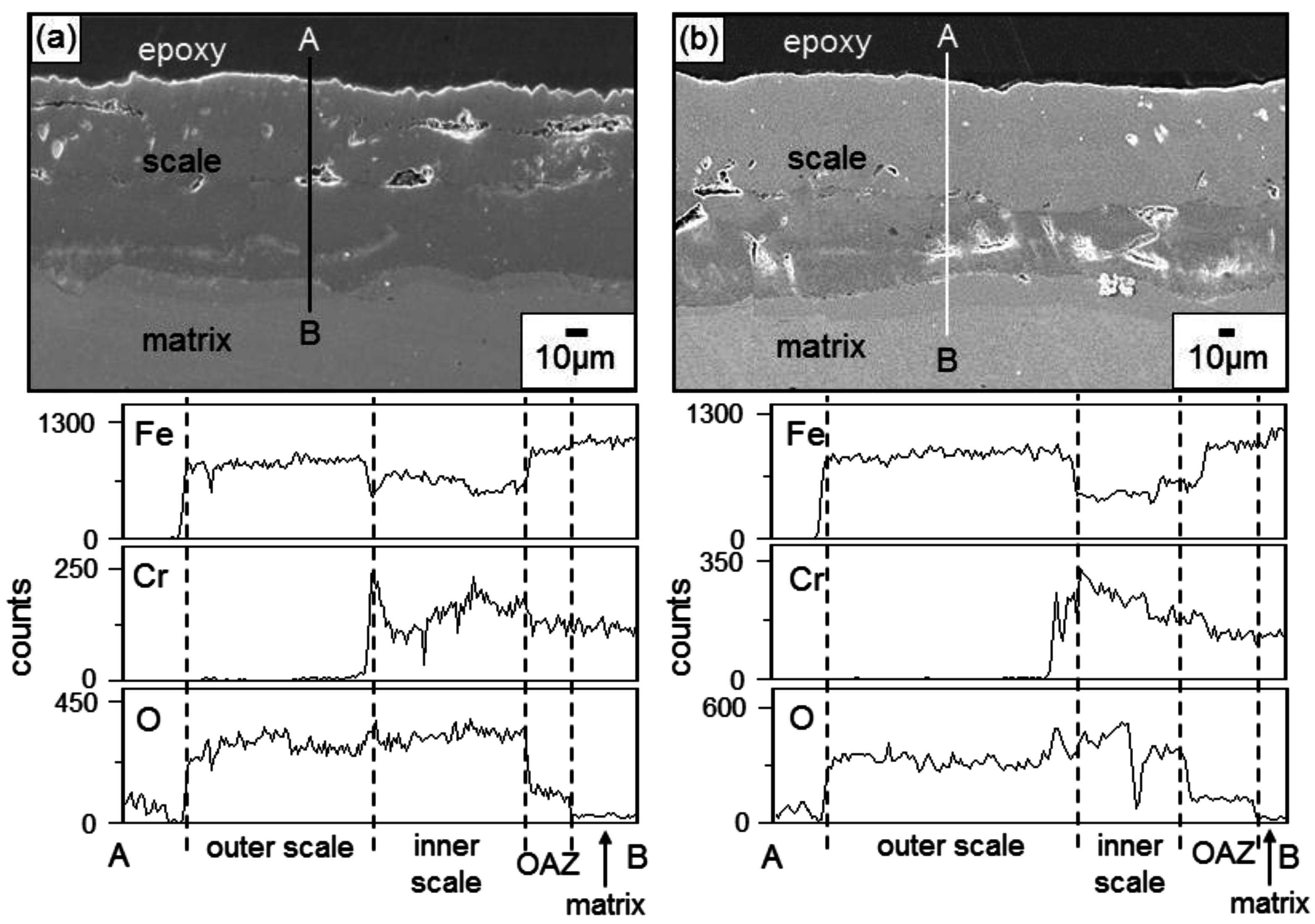 Metals 06 00291 g003