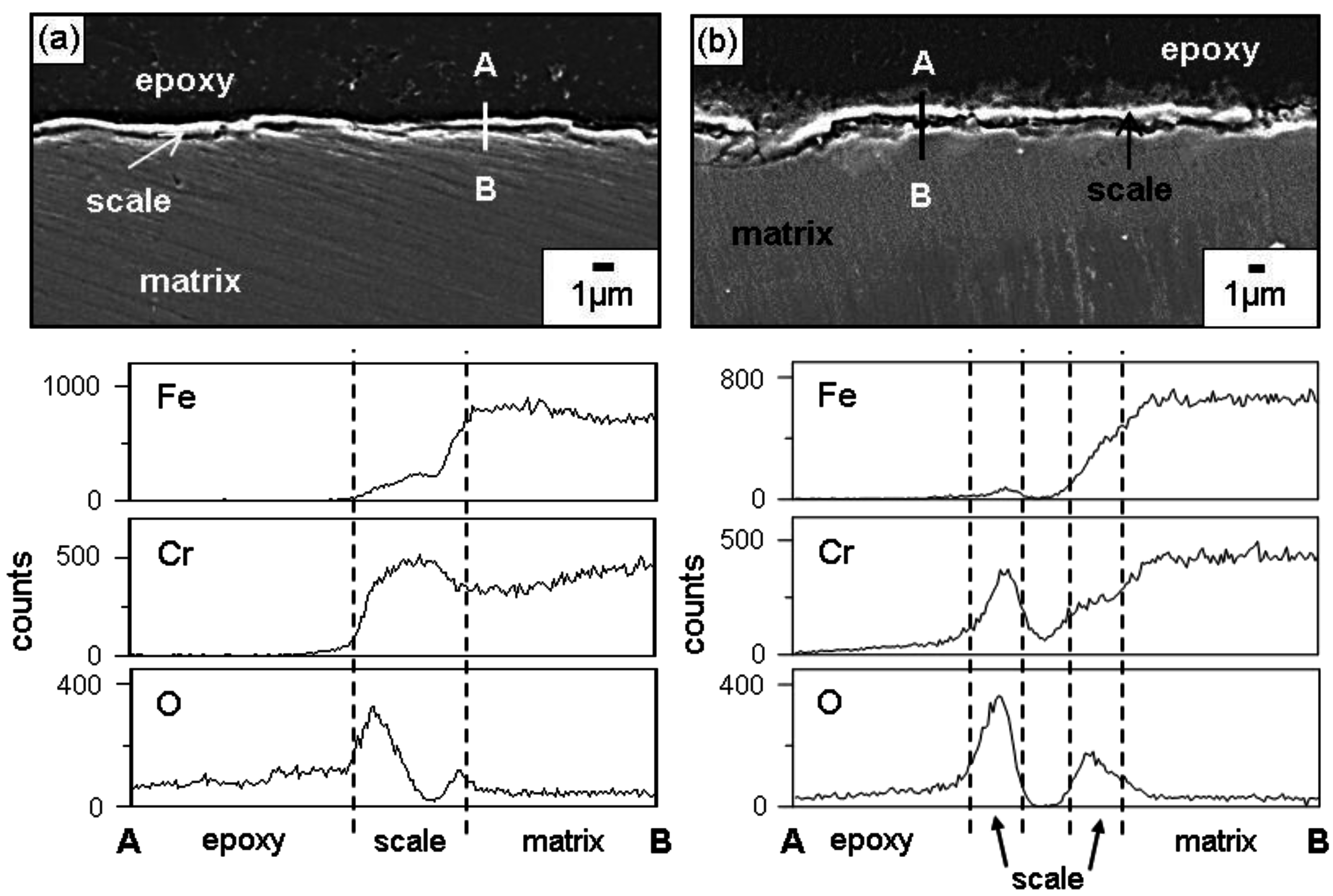Metals 06 00291 g004