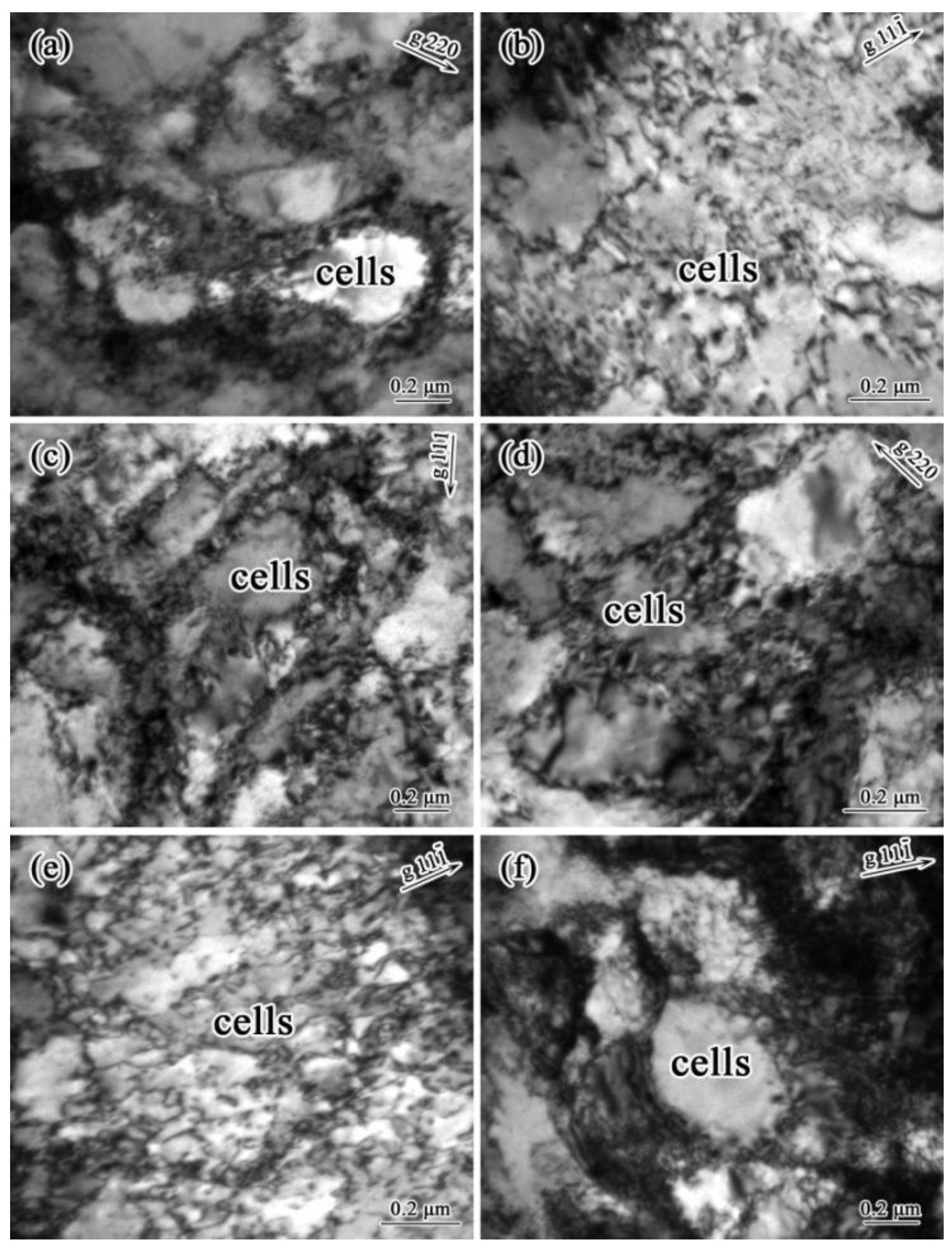 Metals 06 00293 g005