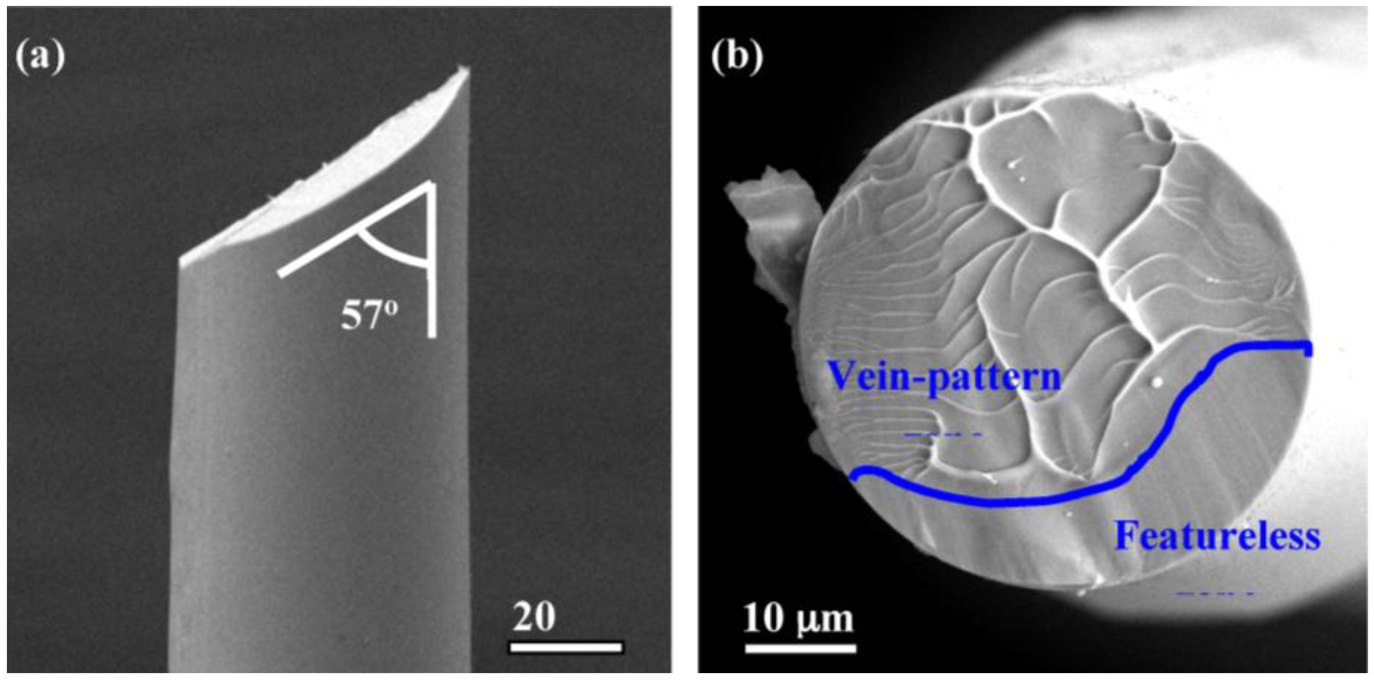 Metals 06 00296 g007