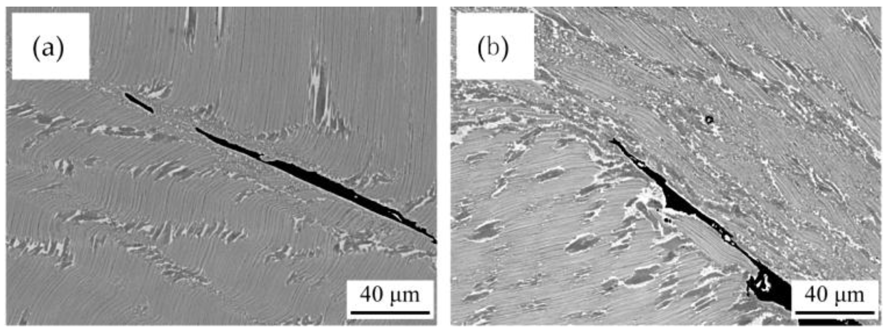 Metals 06 00305 g006