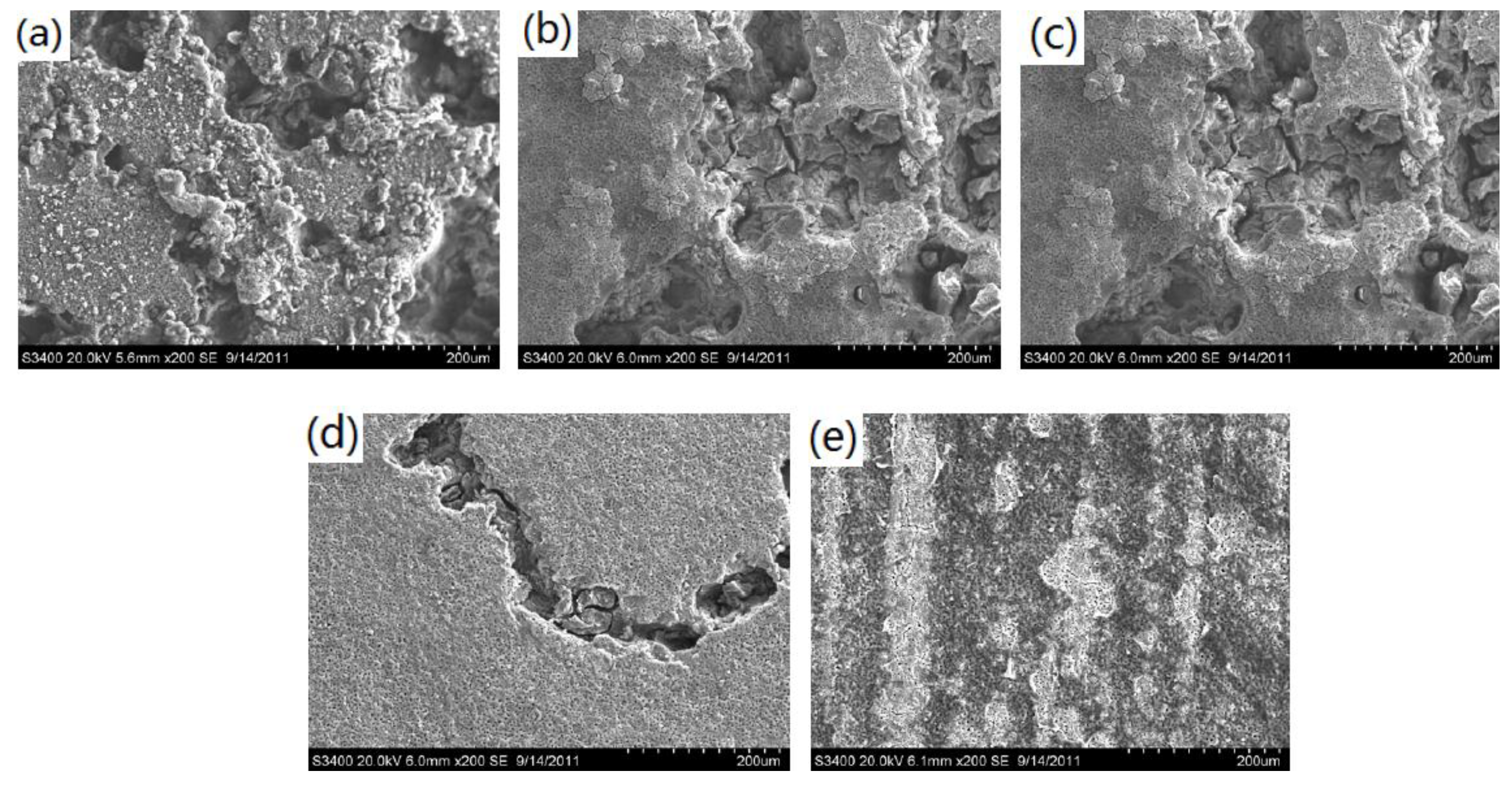 Metals 06 00308 g006
