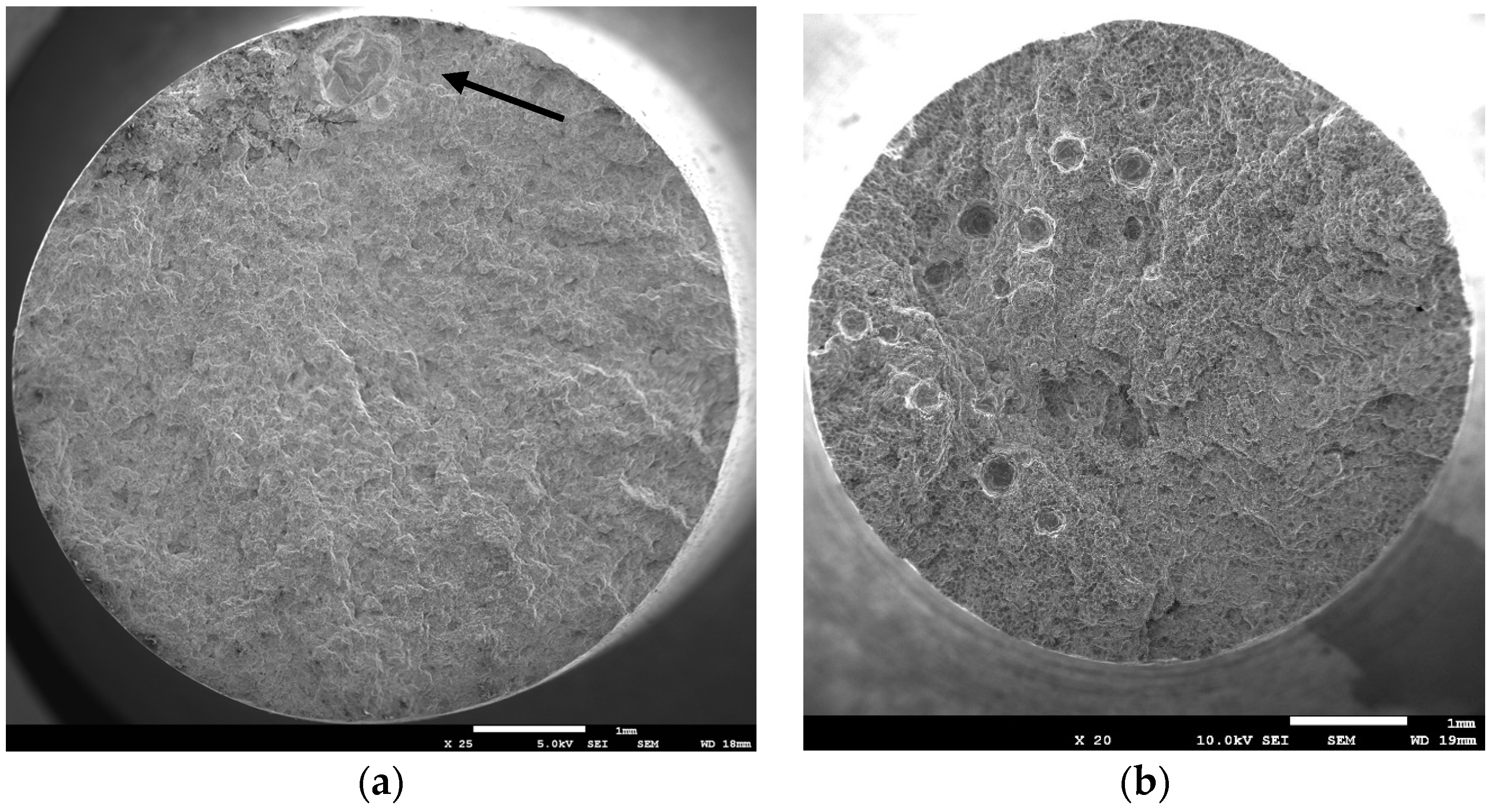 Metals 06 00314 g004