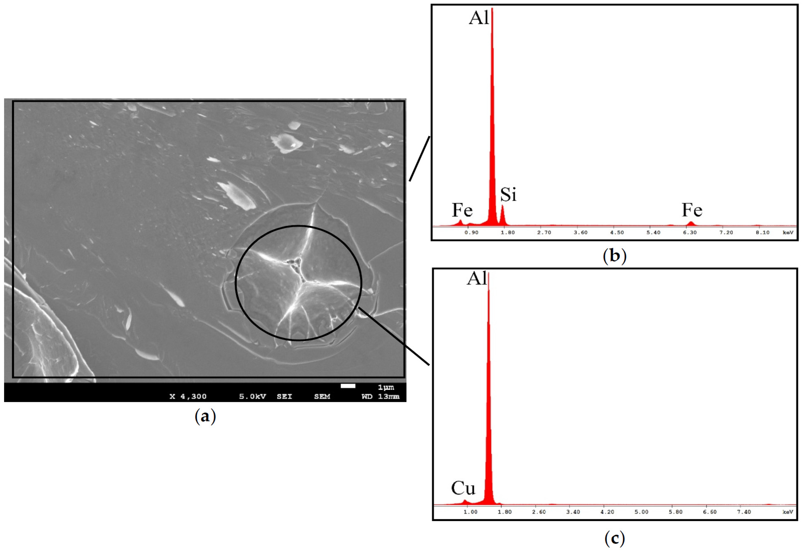 Metals 06 00314 g007