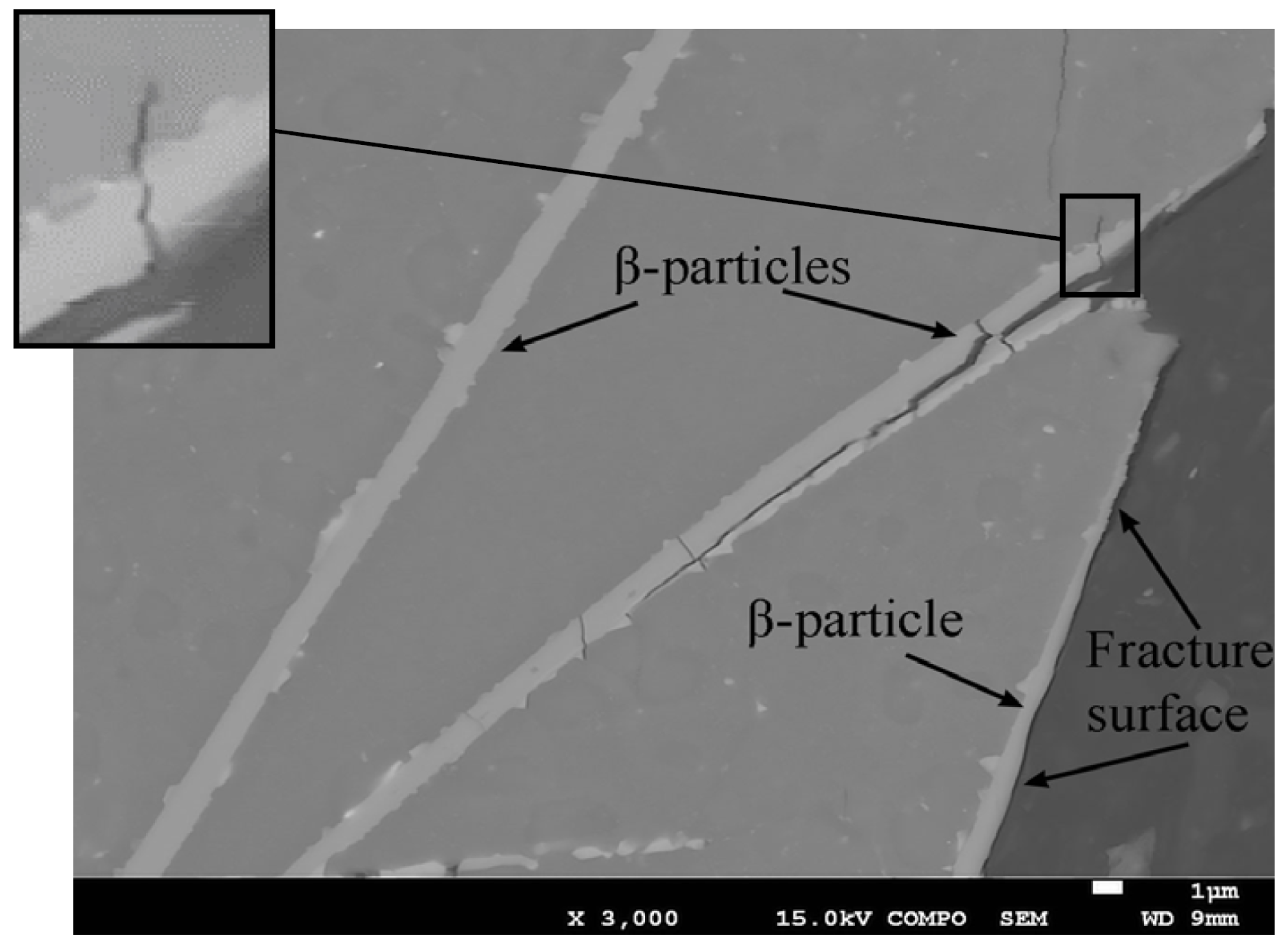 Metals 06 00314 g011