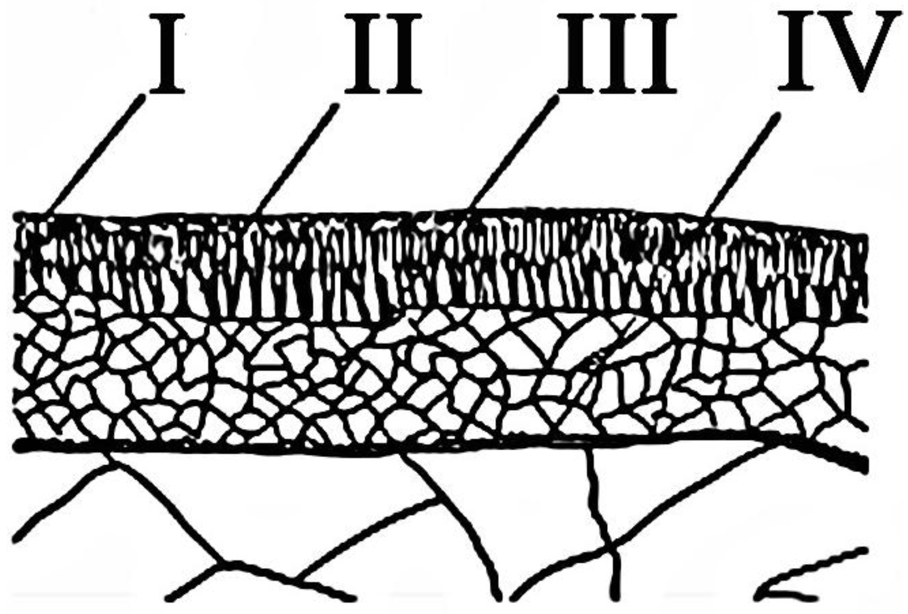 Metals 07 00004 g005