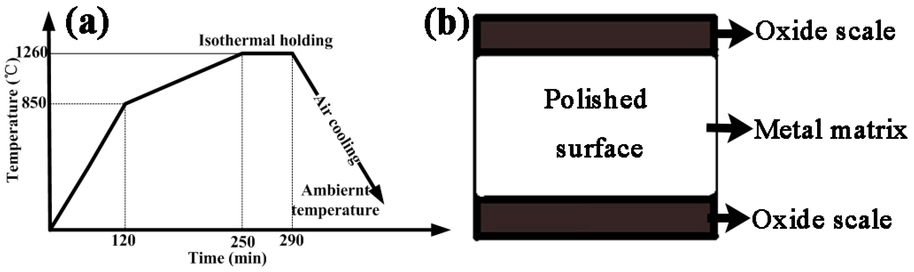 Metals 07 00037 g001