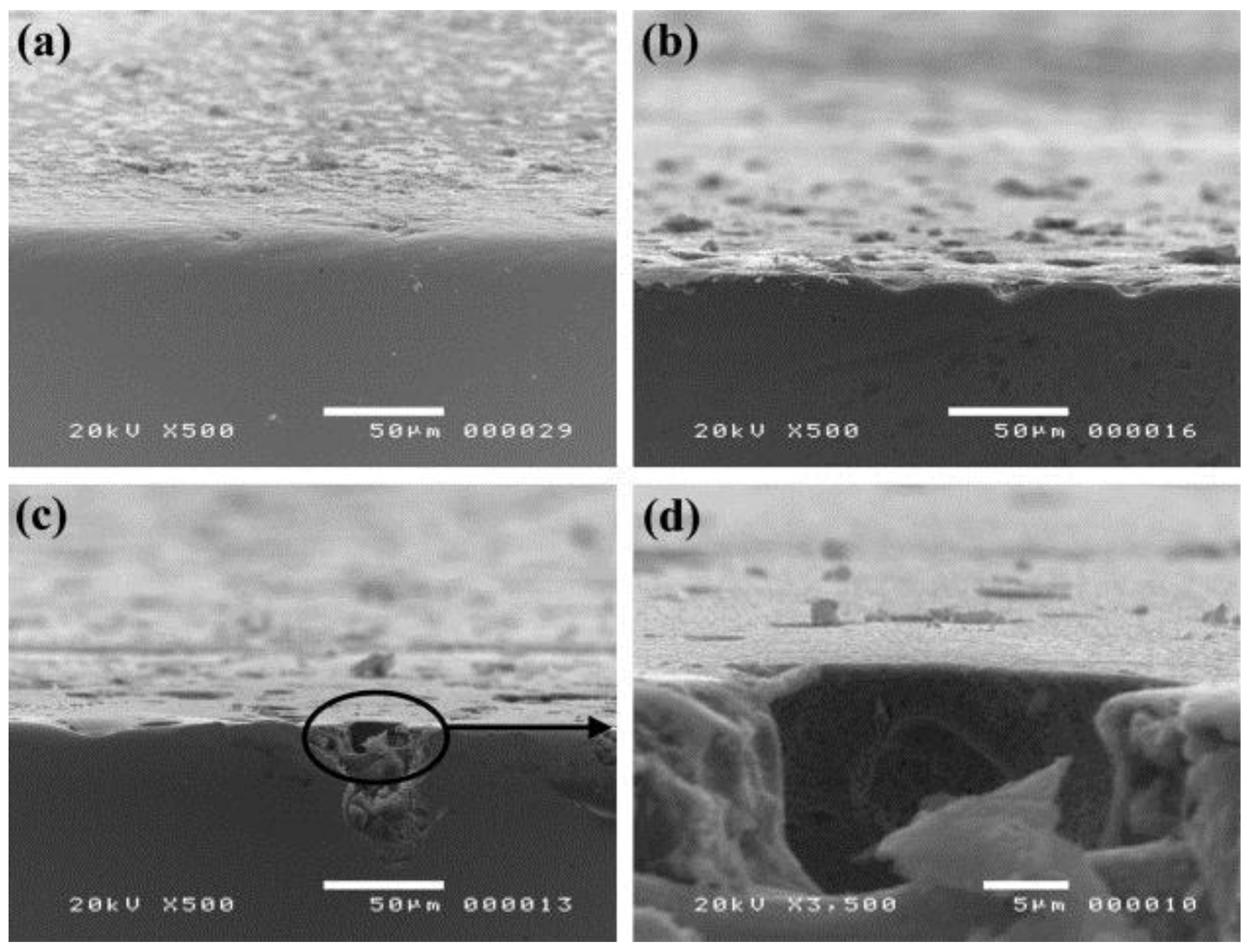 Metals 07 00043 g003