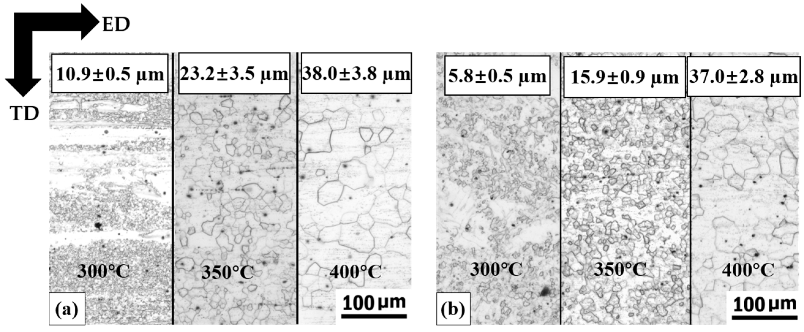 Metals 07 00119 g005