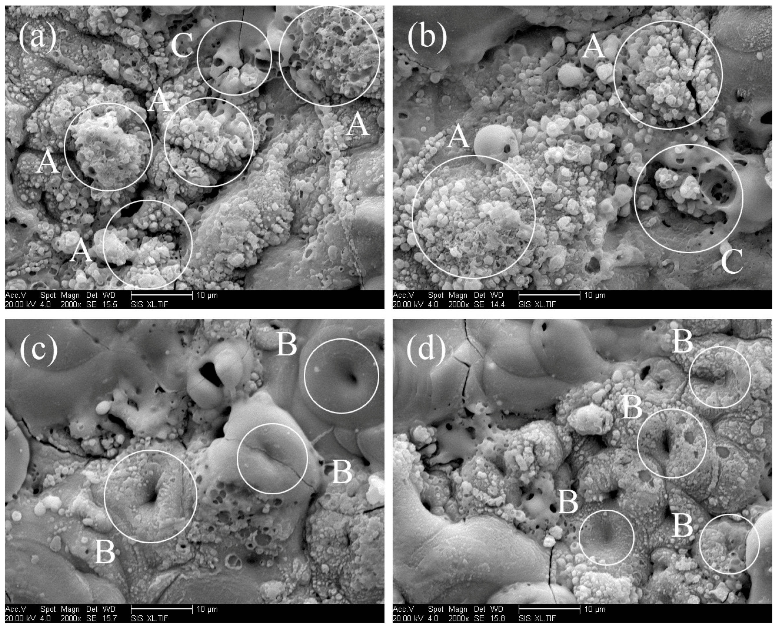 Metals 07 00127 g003