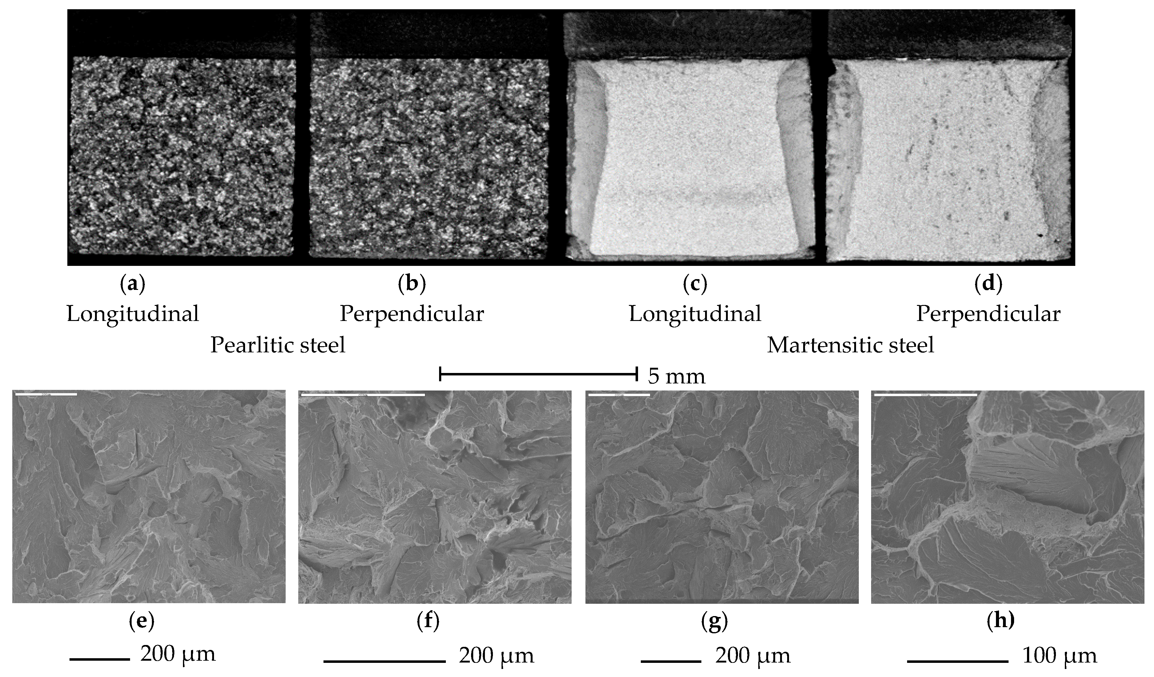 Metals 07 00139 g002a