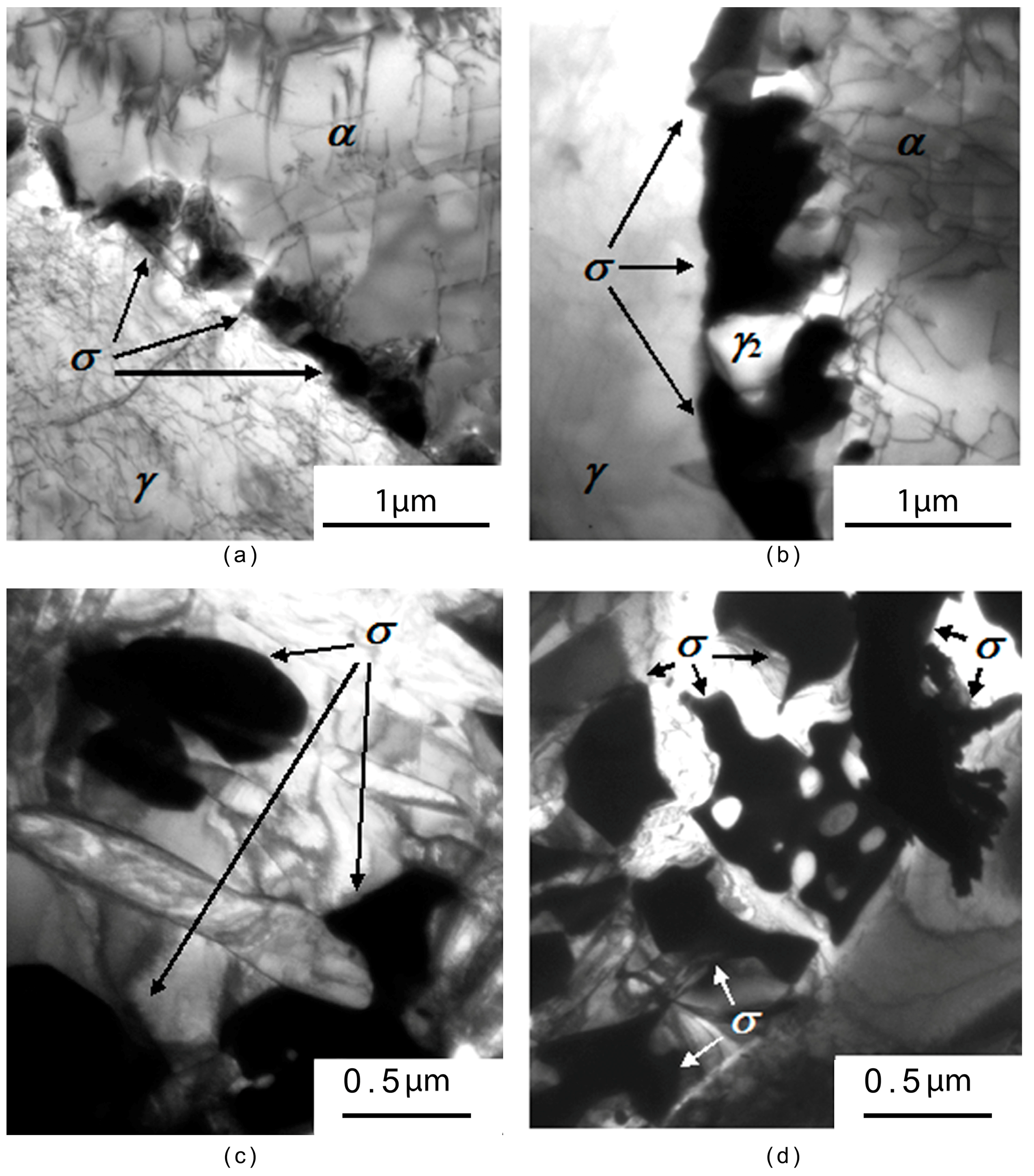 Metals 07 00178 g004