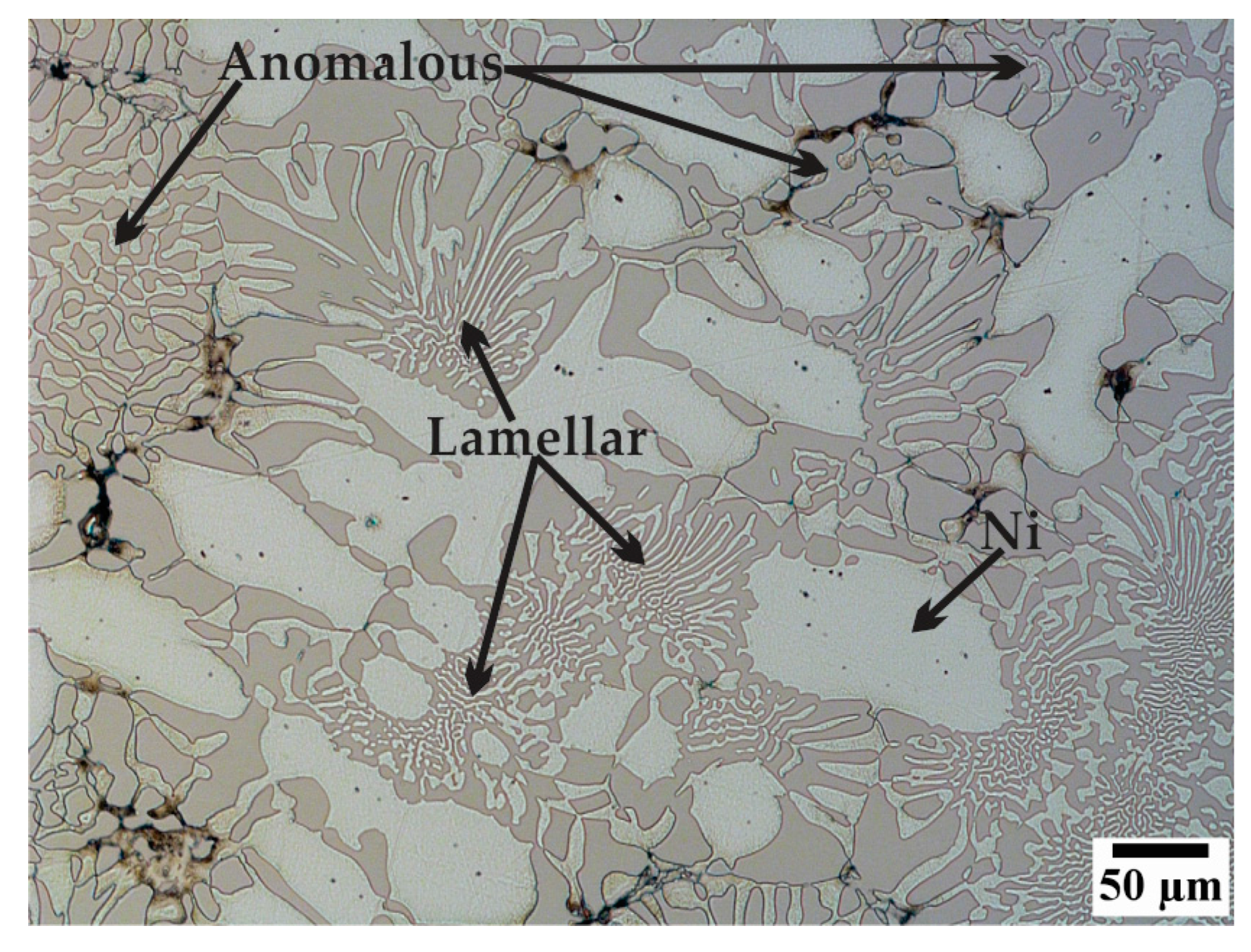 Metals 07 00187 g005