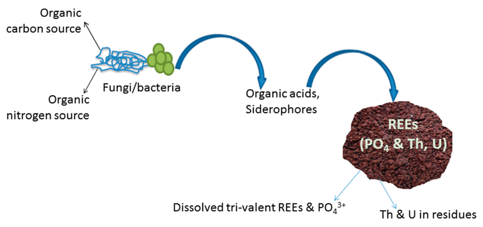 Metals 07 00207 g004