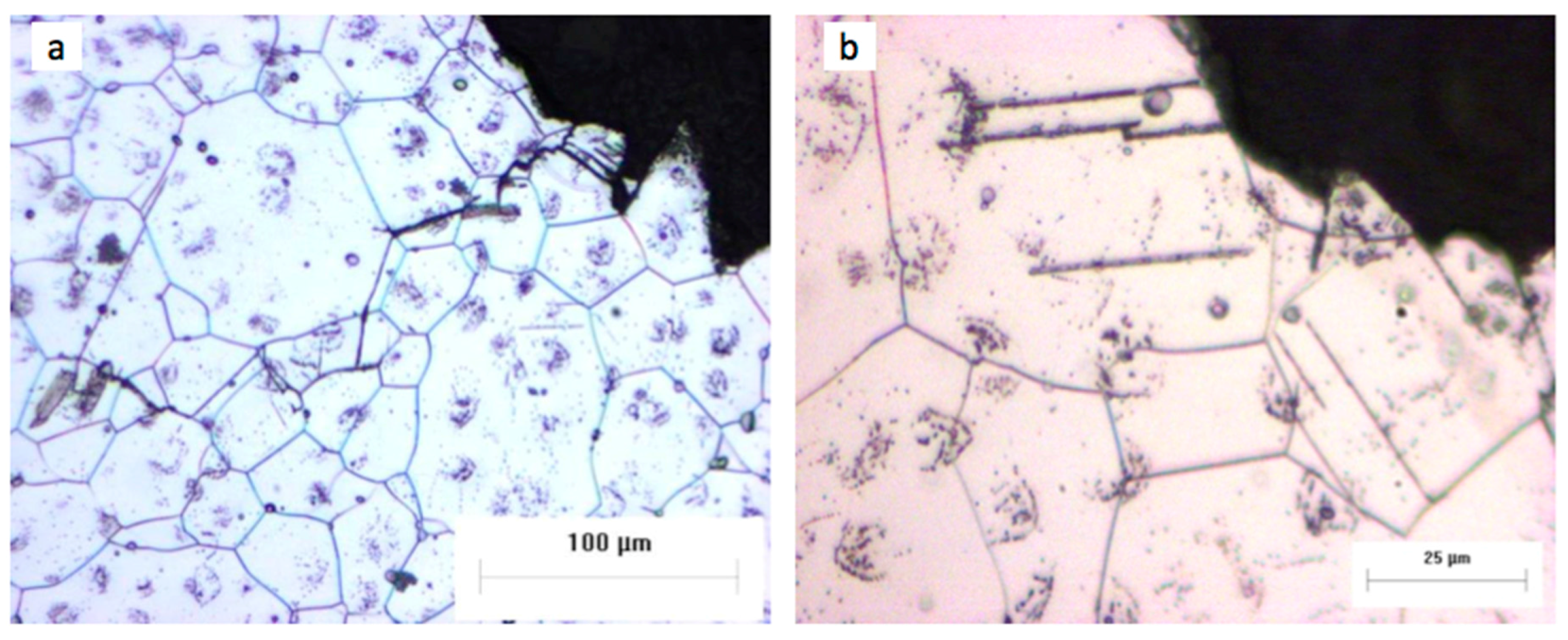 Metals 07 00212 g014