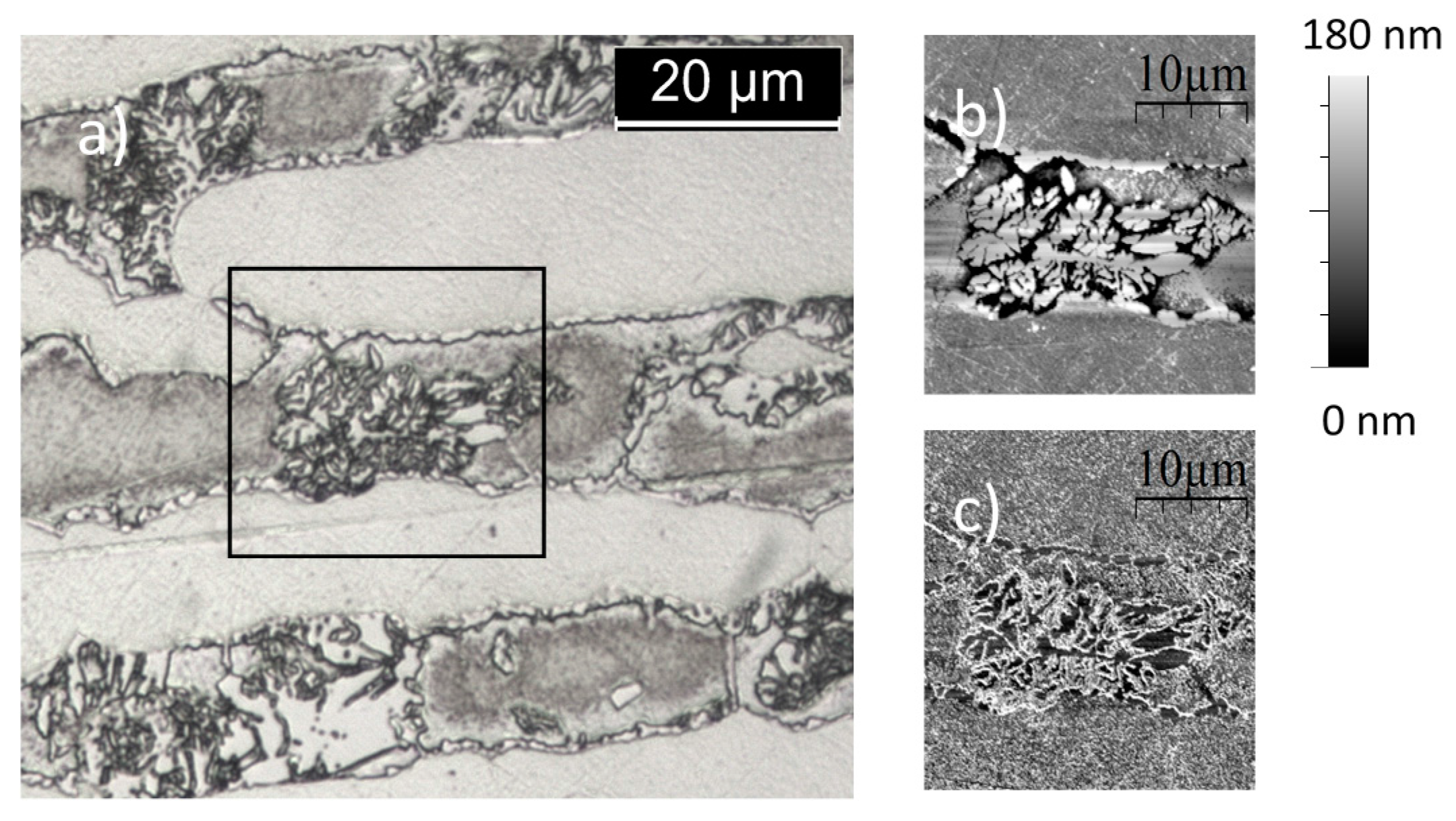 Metals 07 00219 g008