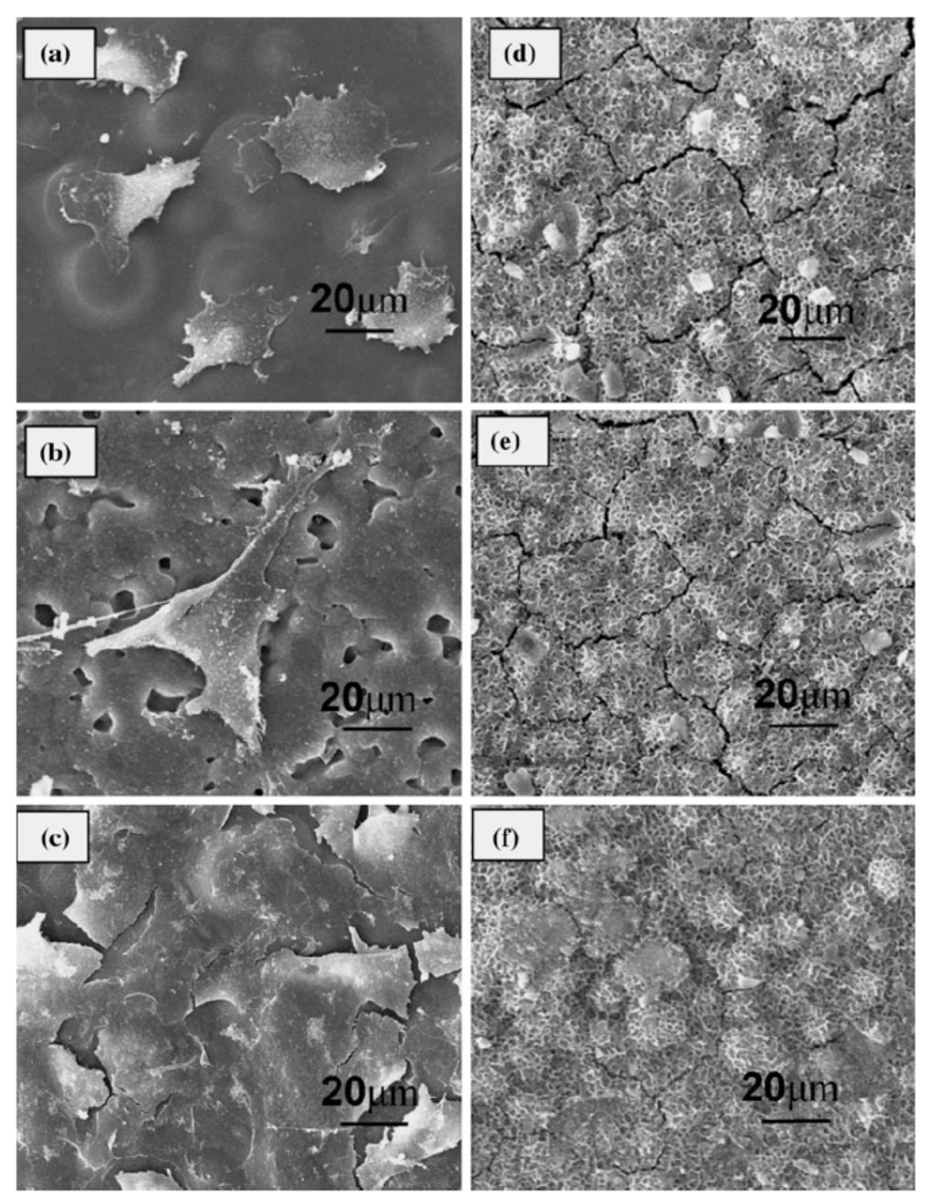 Metals 07 00252 g037