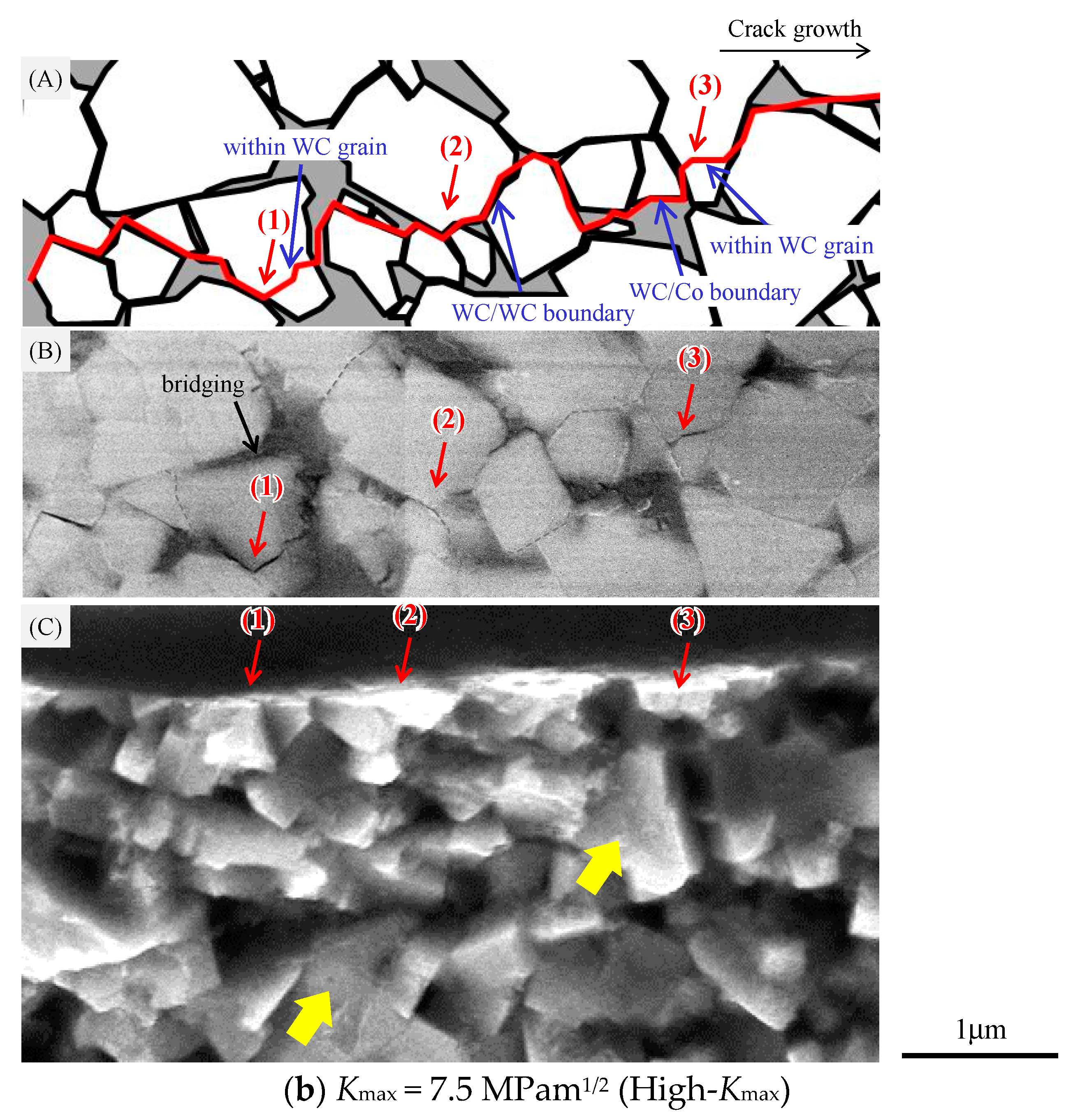 Metals 07 00254 g009b
