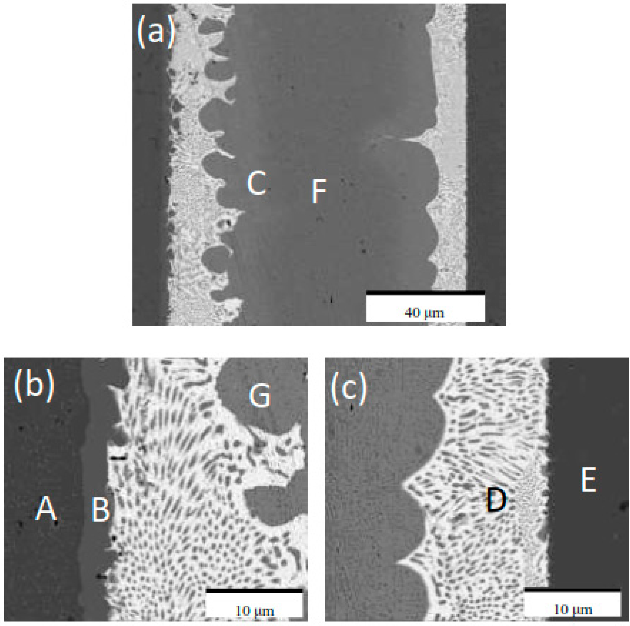 Metals 07 00276 g003
