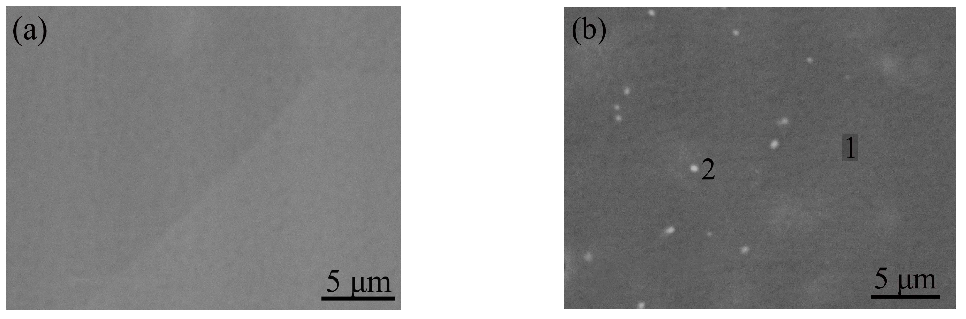 Metals 07 00286 g003a