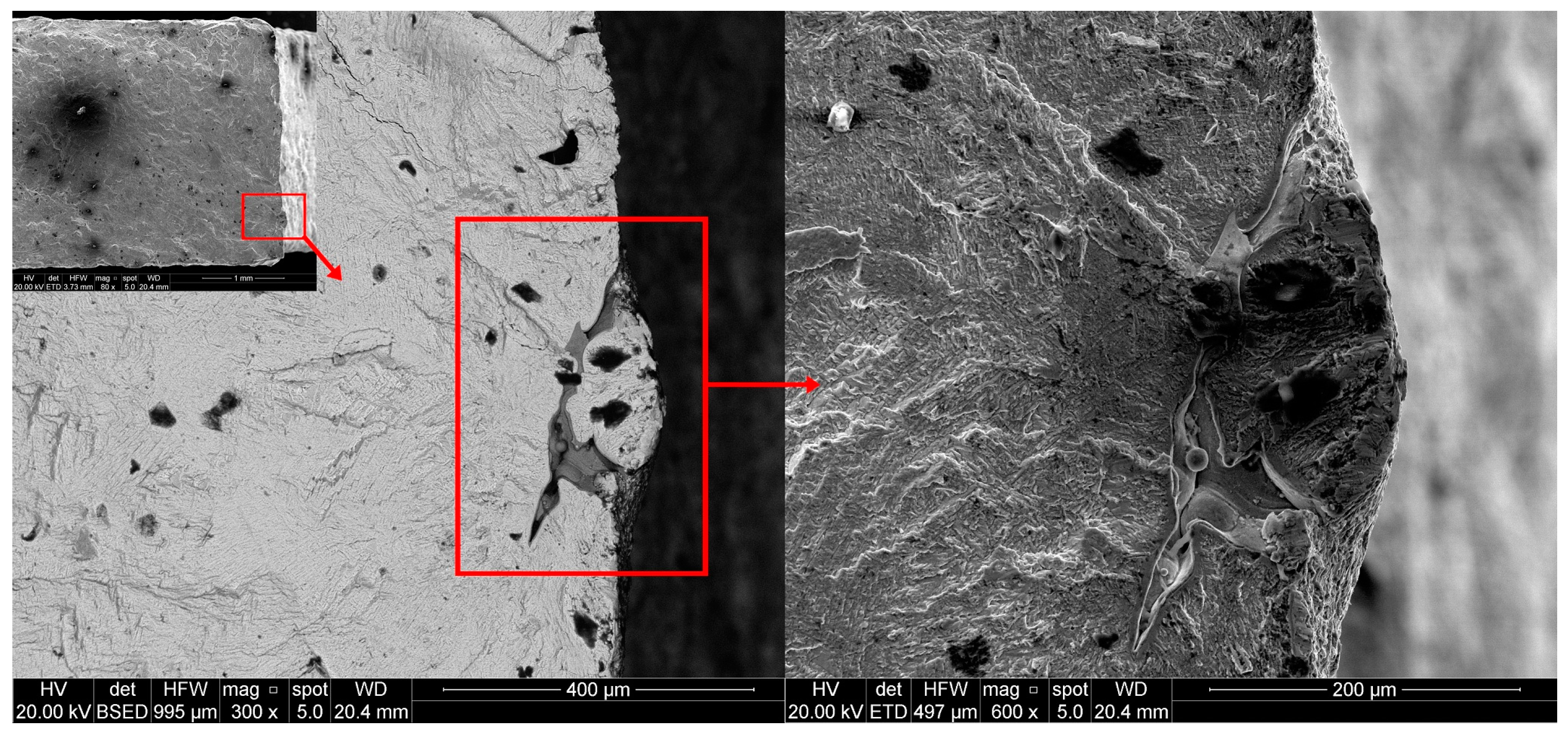 Metals 07 00291 g007