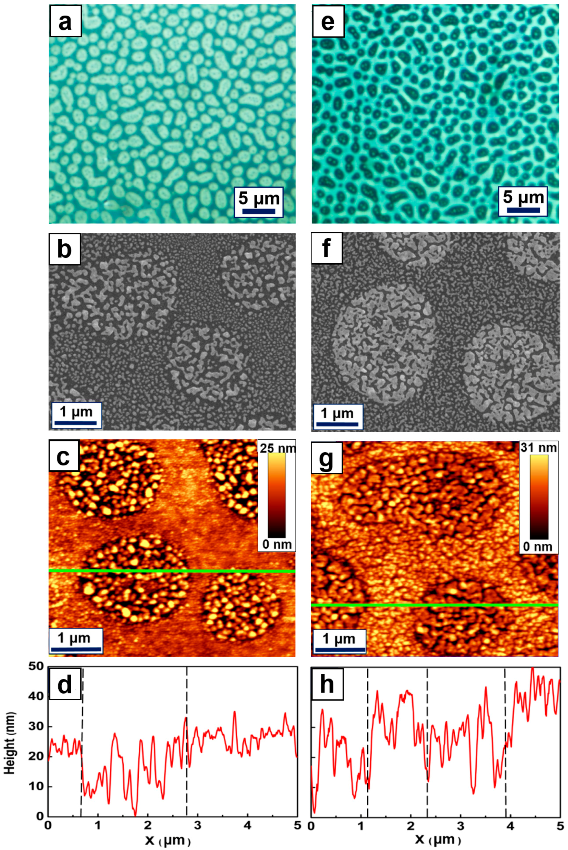Metals 07 00314 g003