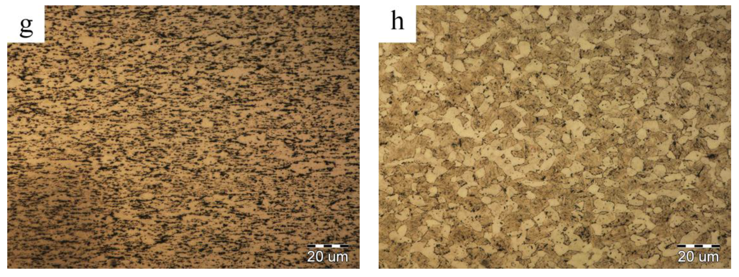 Metals 07 00319 g005b