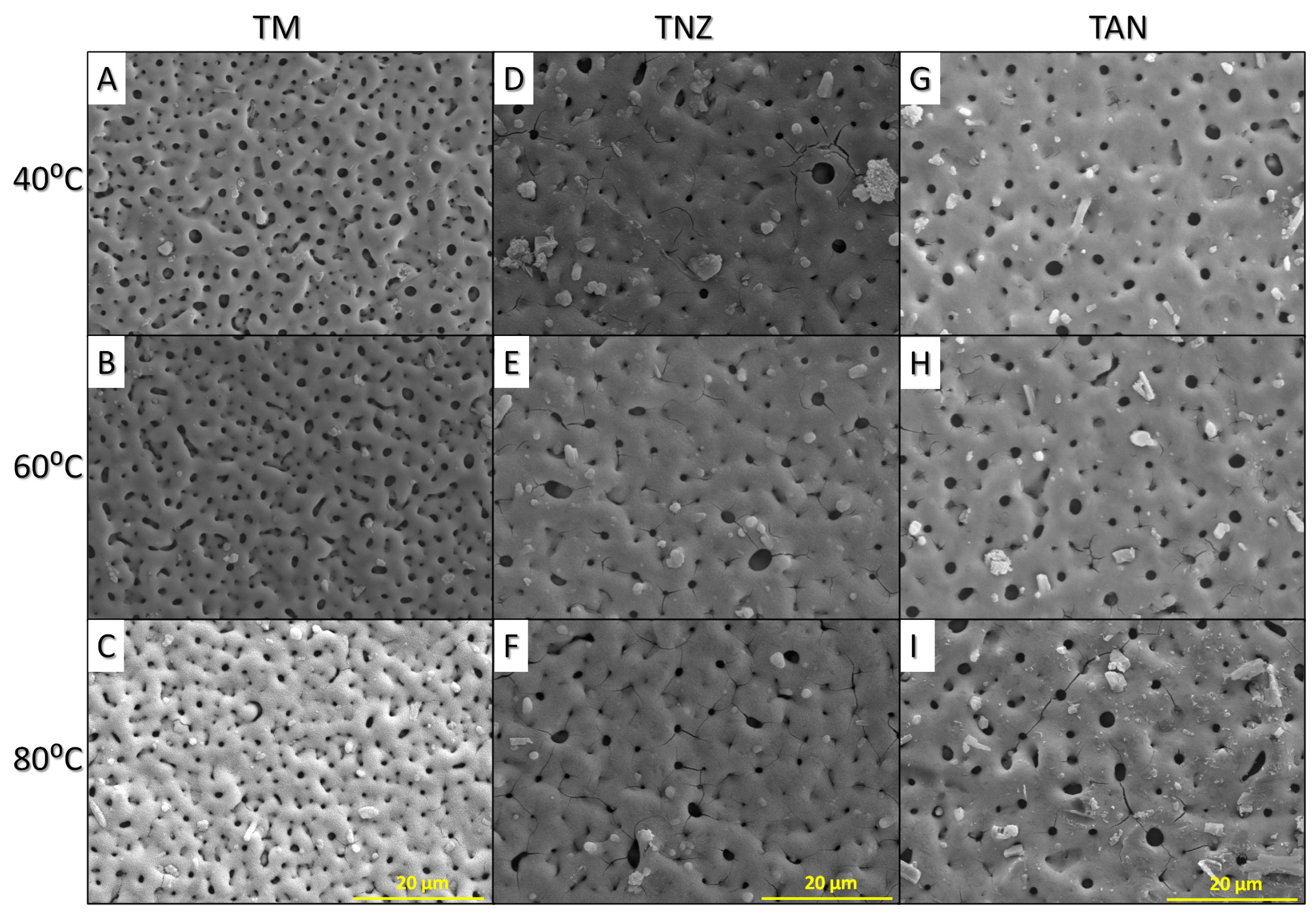 Metals 07 00322 g002