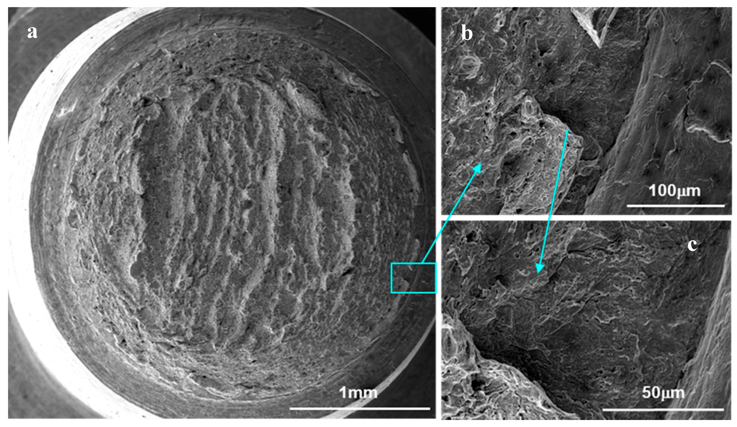 Metals 07 00342 g005
