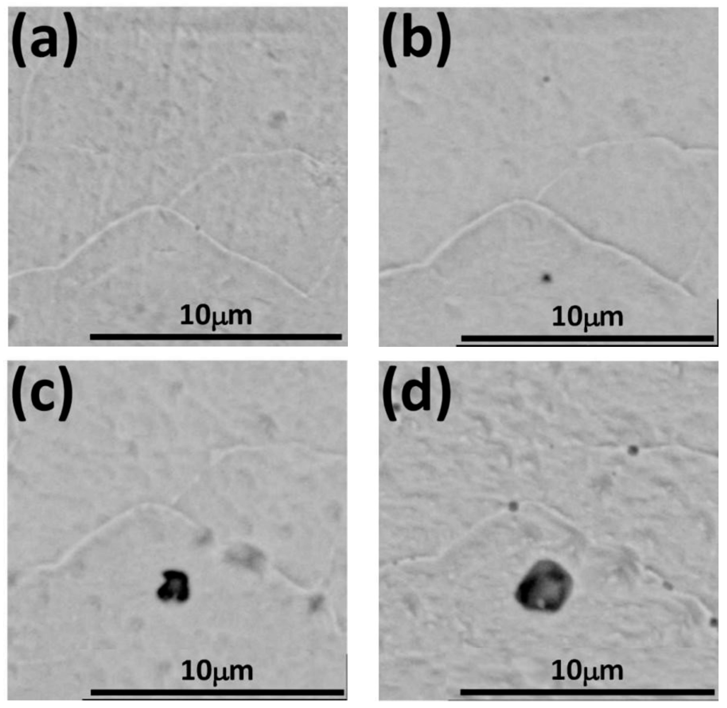 Metals 07 00347 g011