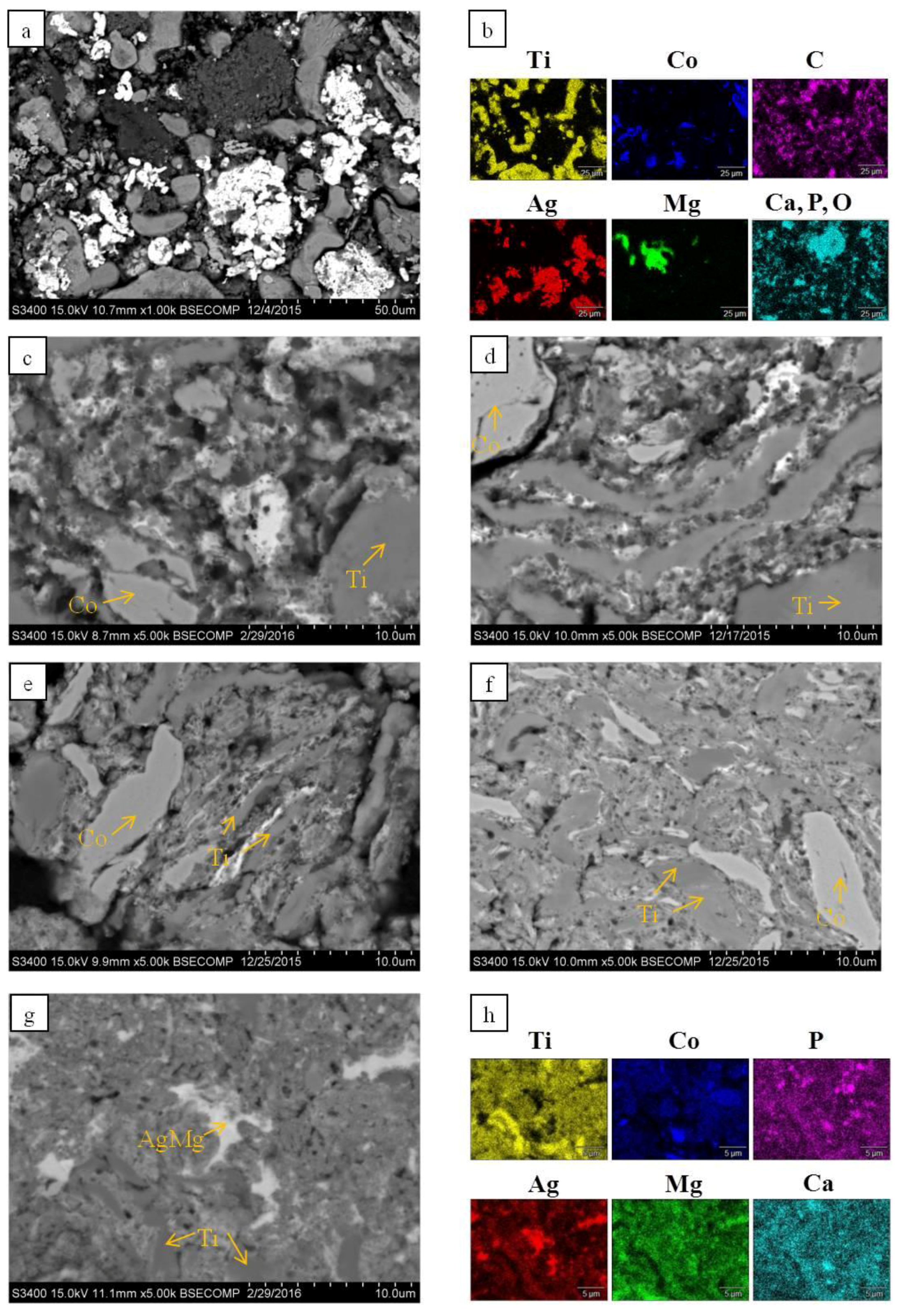Metals 07 00378 g002 Metals 07 00378 g002