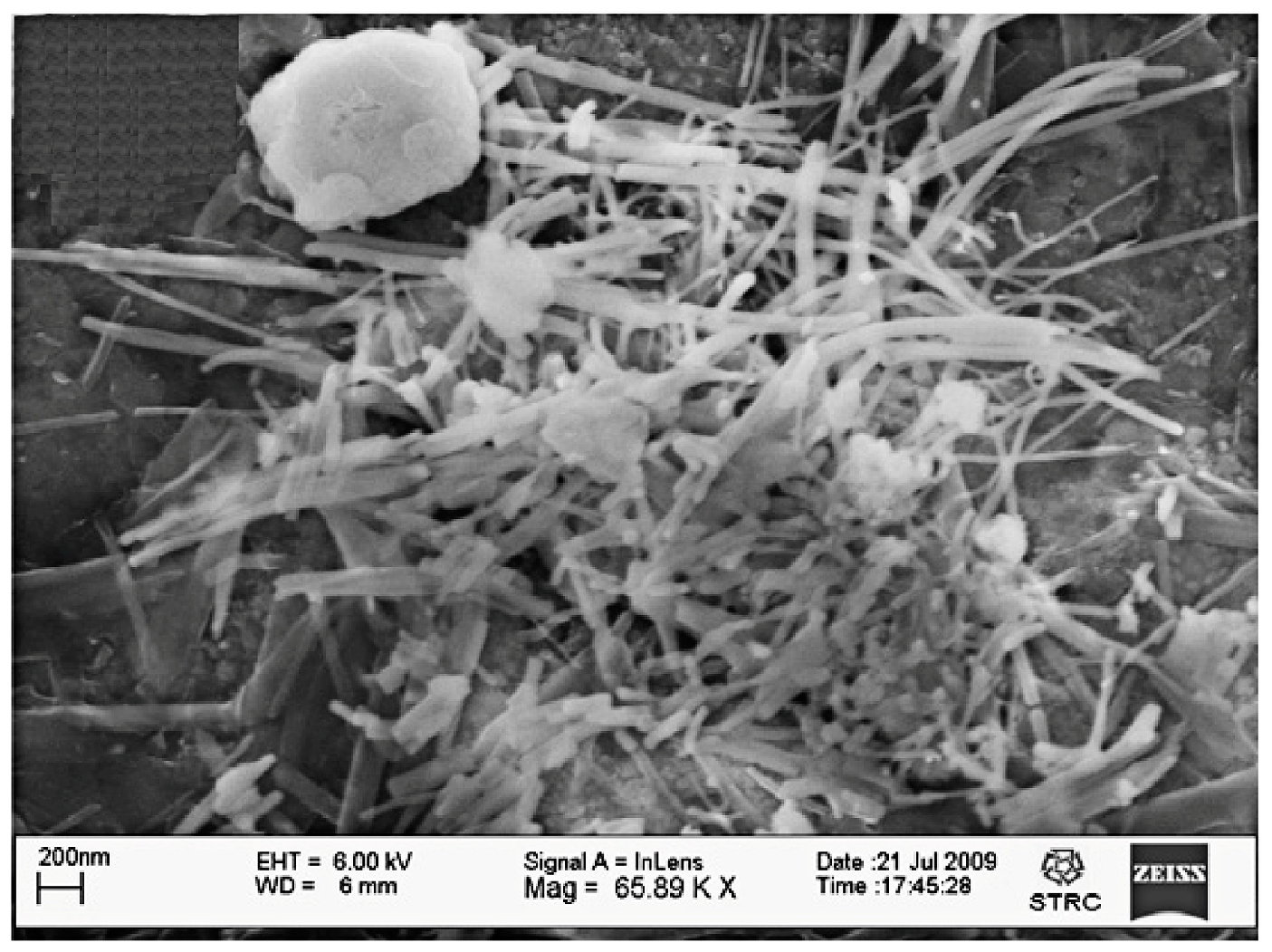 Metals 07 00384 g003