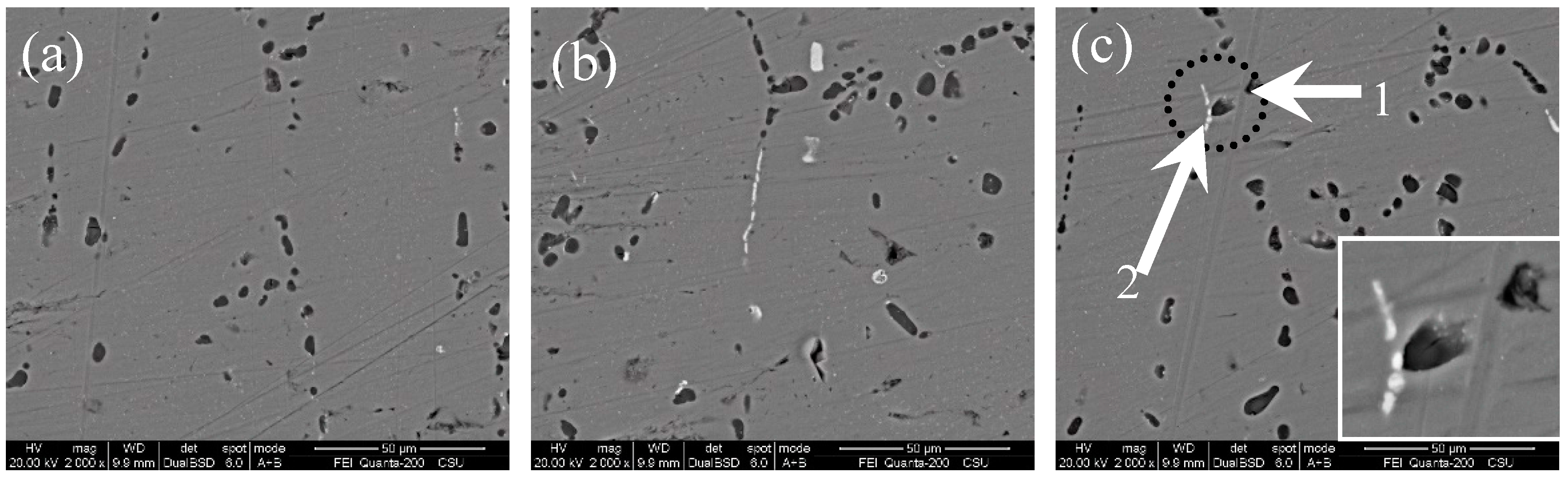 Metals 07 00387 g001a