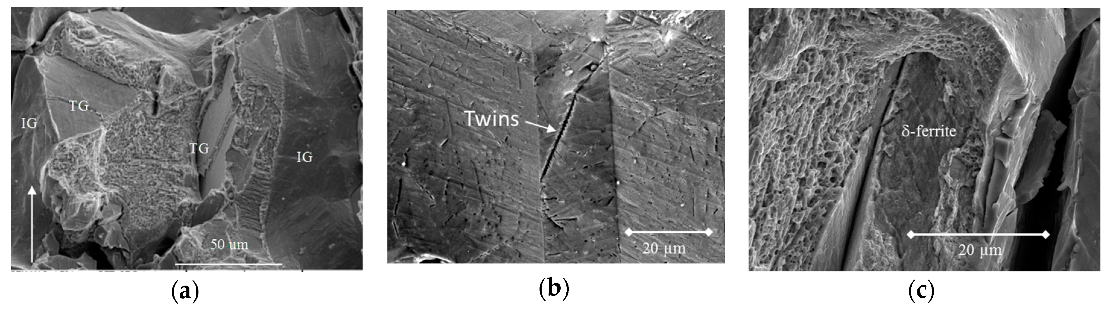 Metals 07 00392 g007