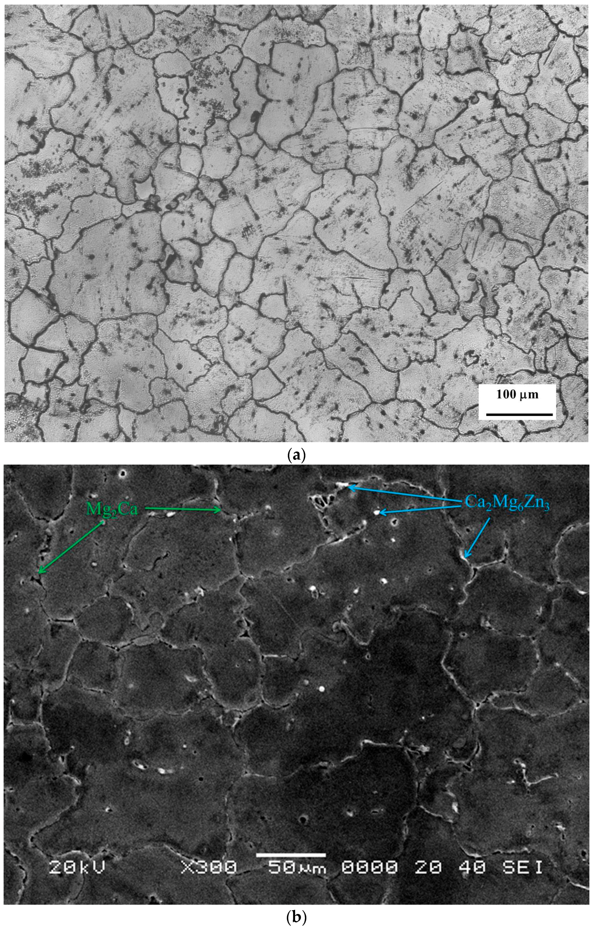 Metals 07 00405 g001
