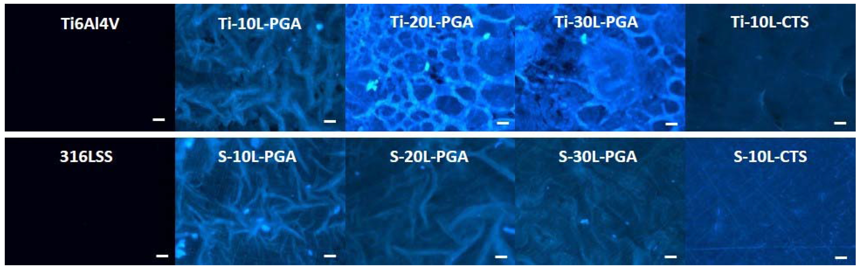 Metals 07 00418 g006