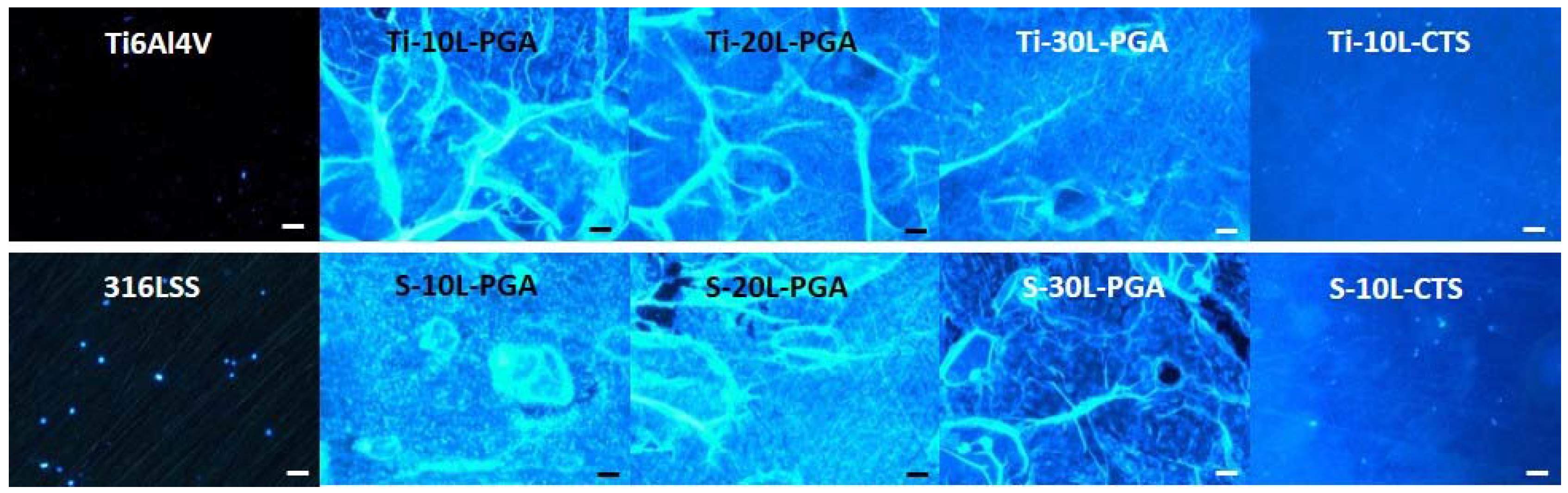 Metals 07 00418 g007