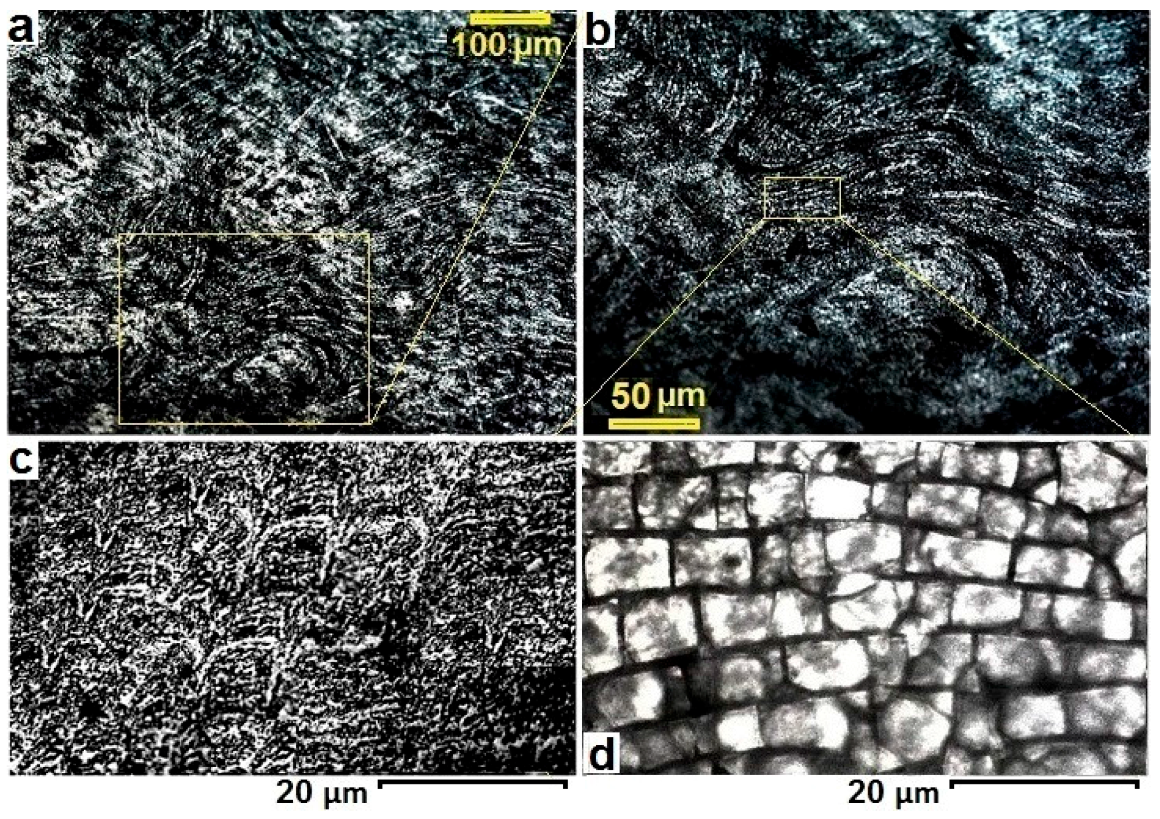 Metals 07 00423 g010