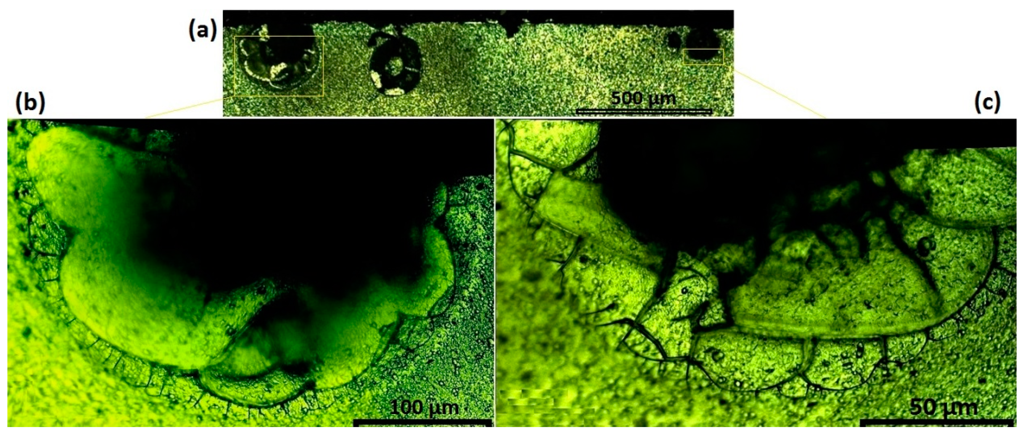 Metals 07 00423 g011